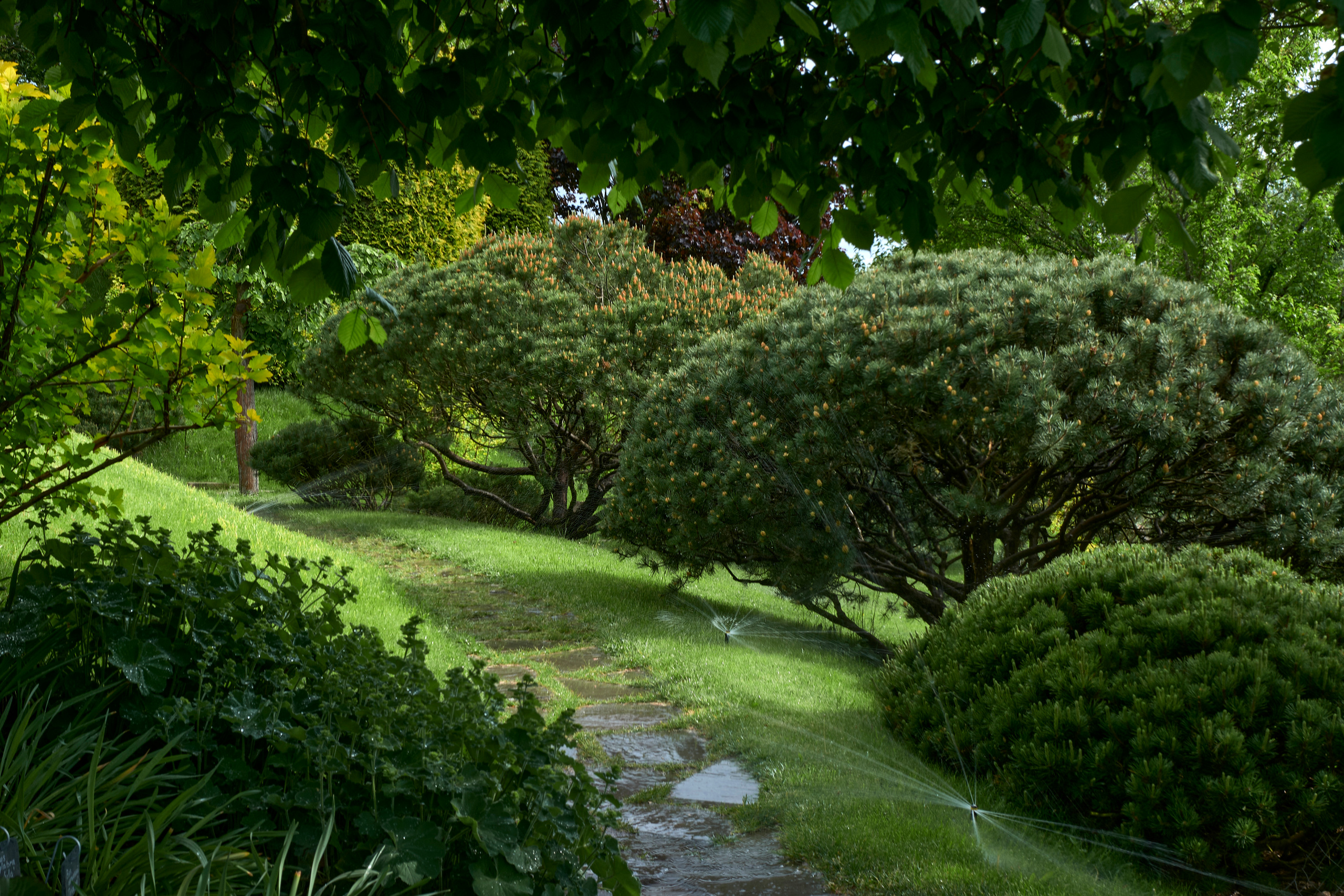Ландшафтный и интерьерный фотограф Наталья Соловьева. Фотосъемка усадьбы Ореховно в Псковской области | interioto