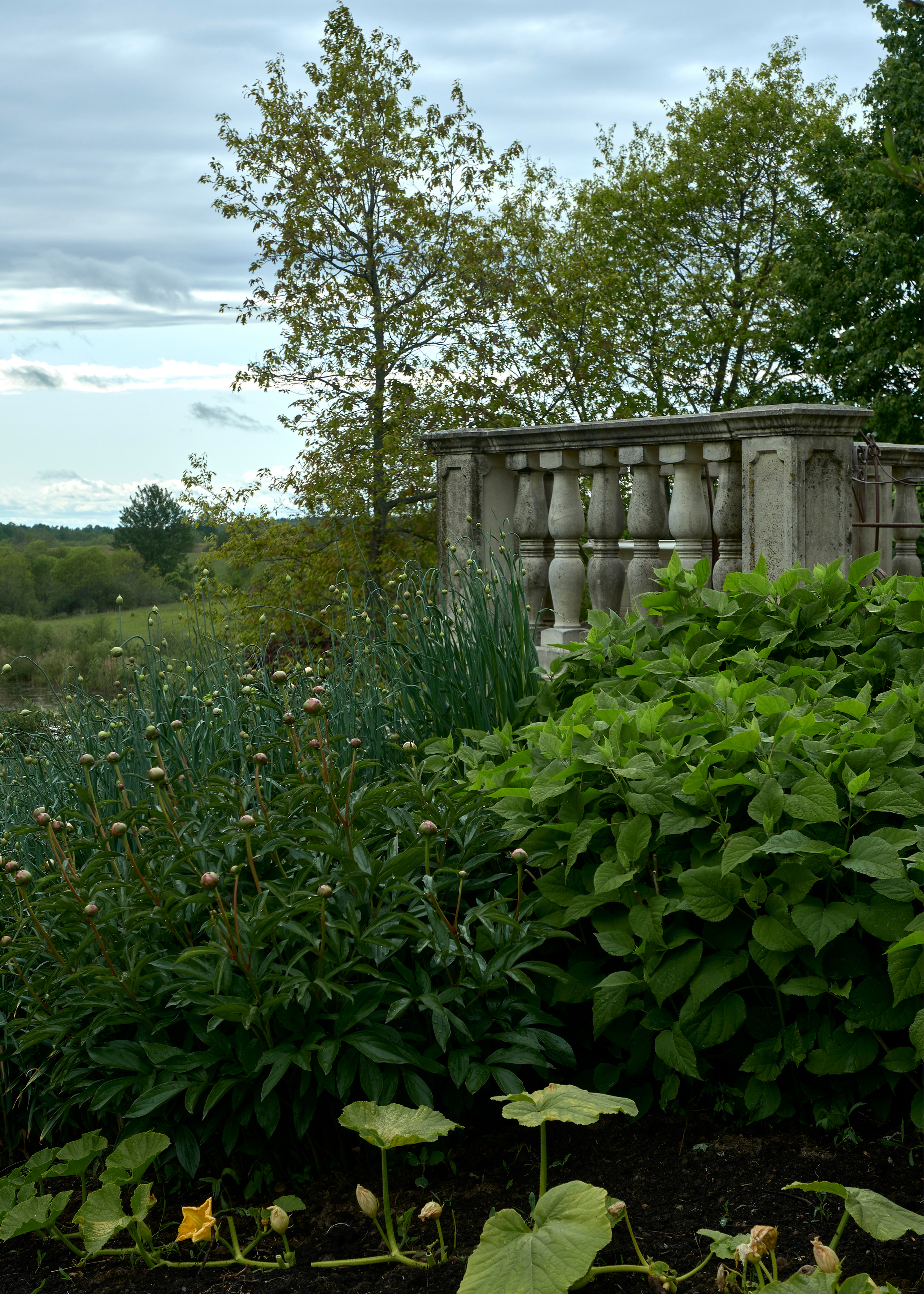 Ландшафтный и интерьерный фотограф Наталья Соловьева. Фотосъемка усадьбы Ореховно в Псковской области | interioto