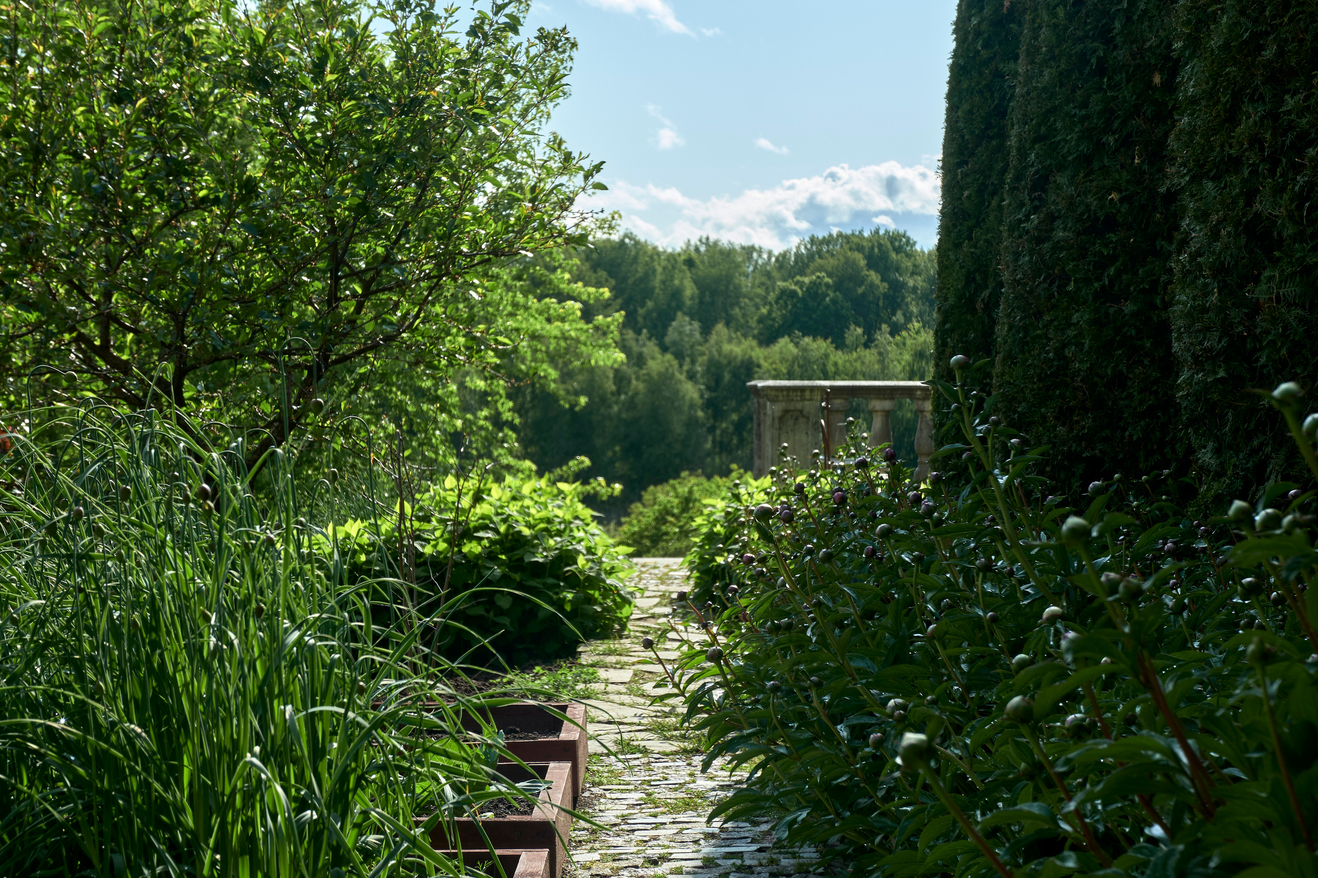Ландшафтный и интерьерный фотограф Наталья Соловьева. Фотосъемка усадьбы Ореховно в Псковской области | interioto