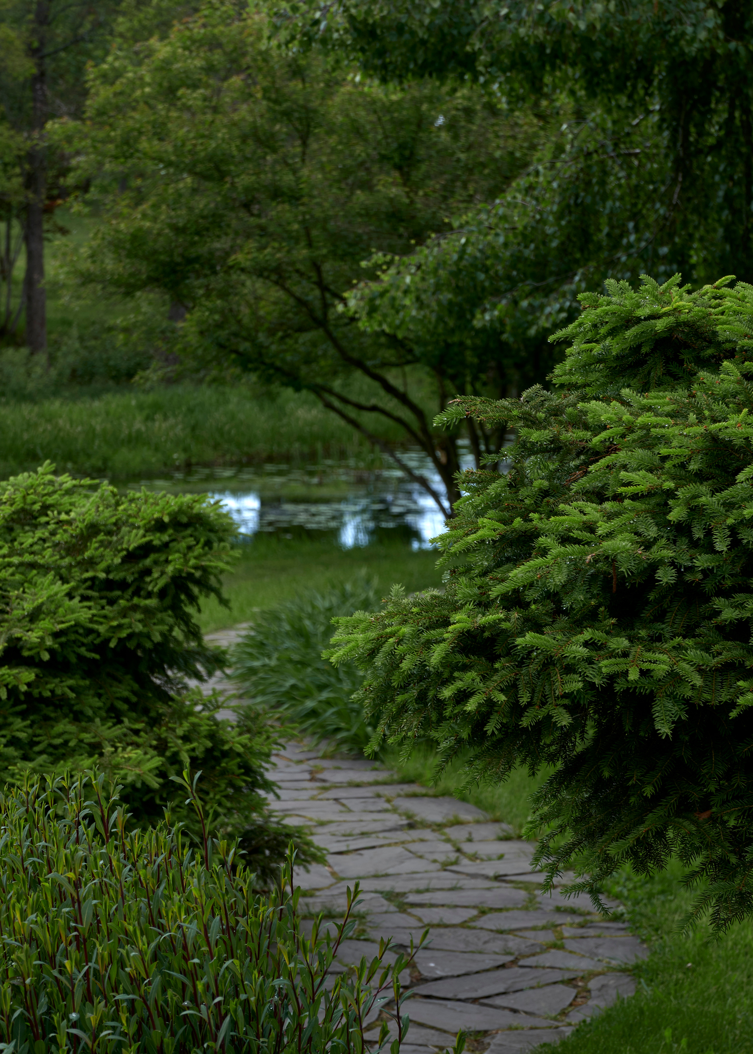 Ландшафтный и интерьерный фотограф Наталья Соловьева. Фотосъемка усадьбы Ореховно в Псковской области | interioto