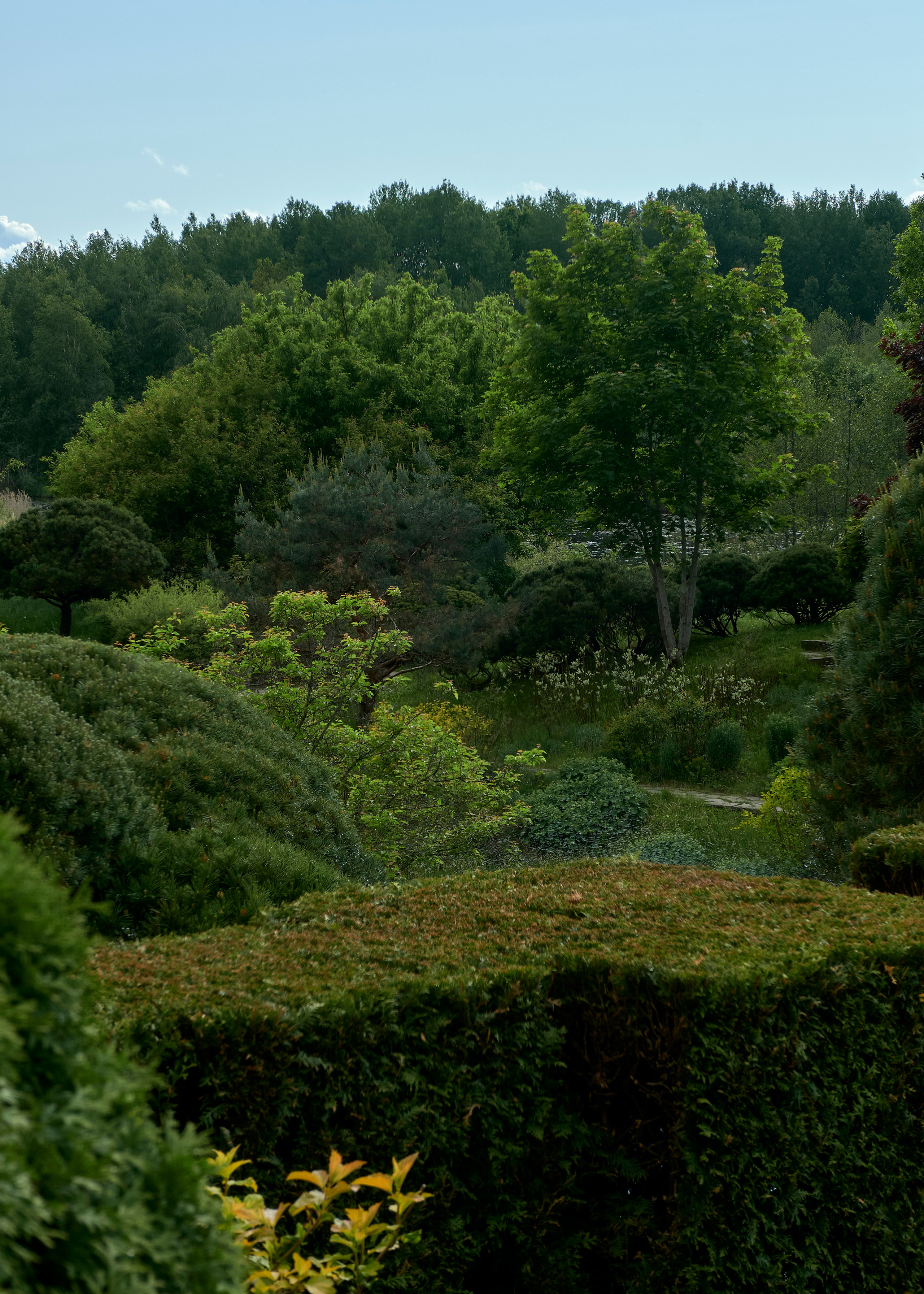 Ландшафтный и интерьерный фотограф Наталья Соловьева. Фотосъемка усадьбы Ореховно в Псковской области | interioto