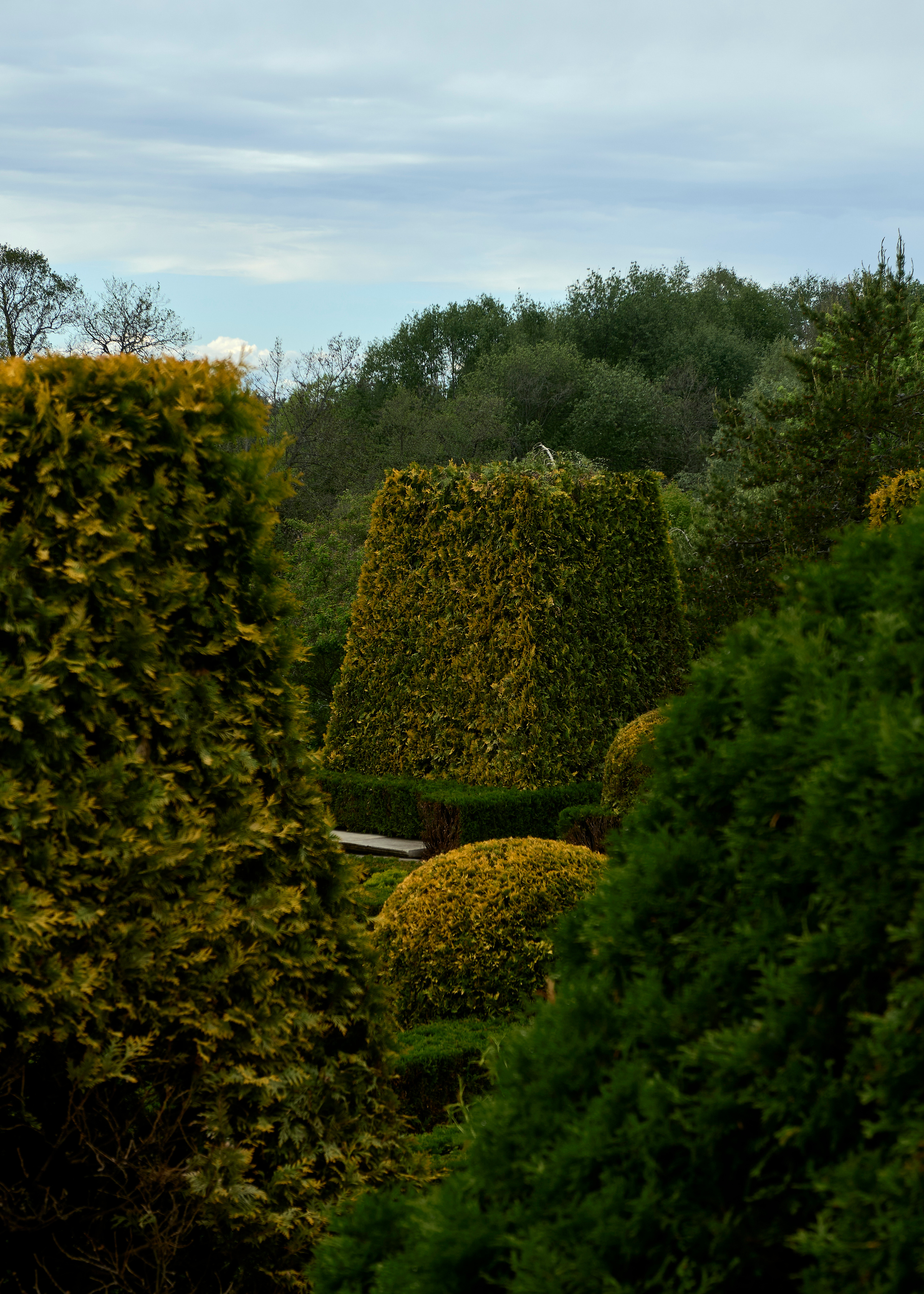 Ландшафтный и интерьерный фотограф Наталья Соловьева. Фотосъемка усадьбы Ореховно в Псковской области | interioto