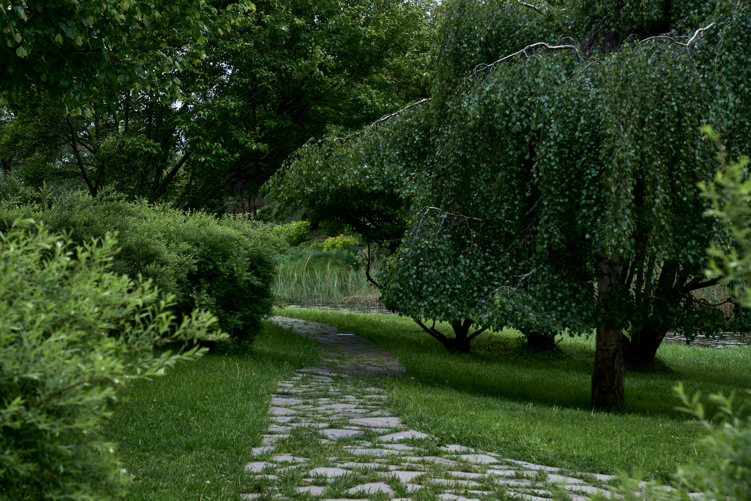 Ландшафтный и интерьерный фотограф Наталья Соловьева. Фотосъемка усадьбы Ореховно в Псковской области | interioto