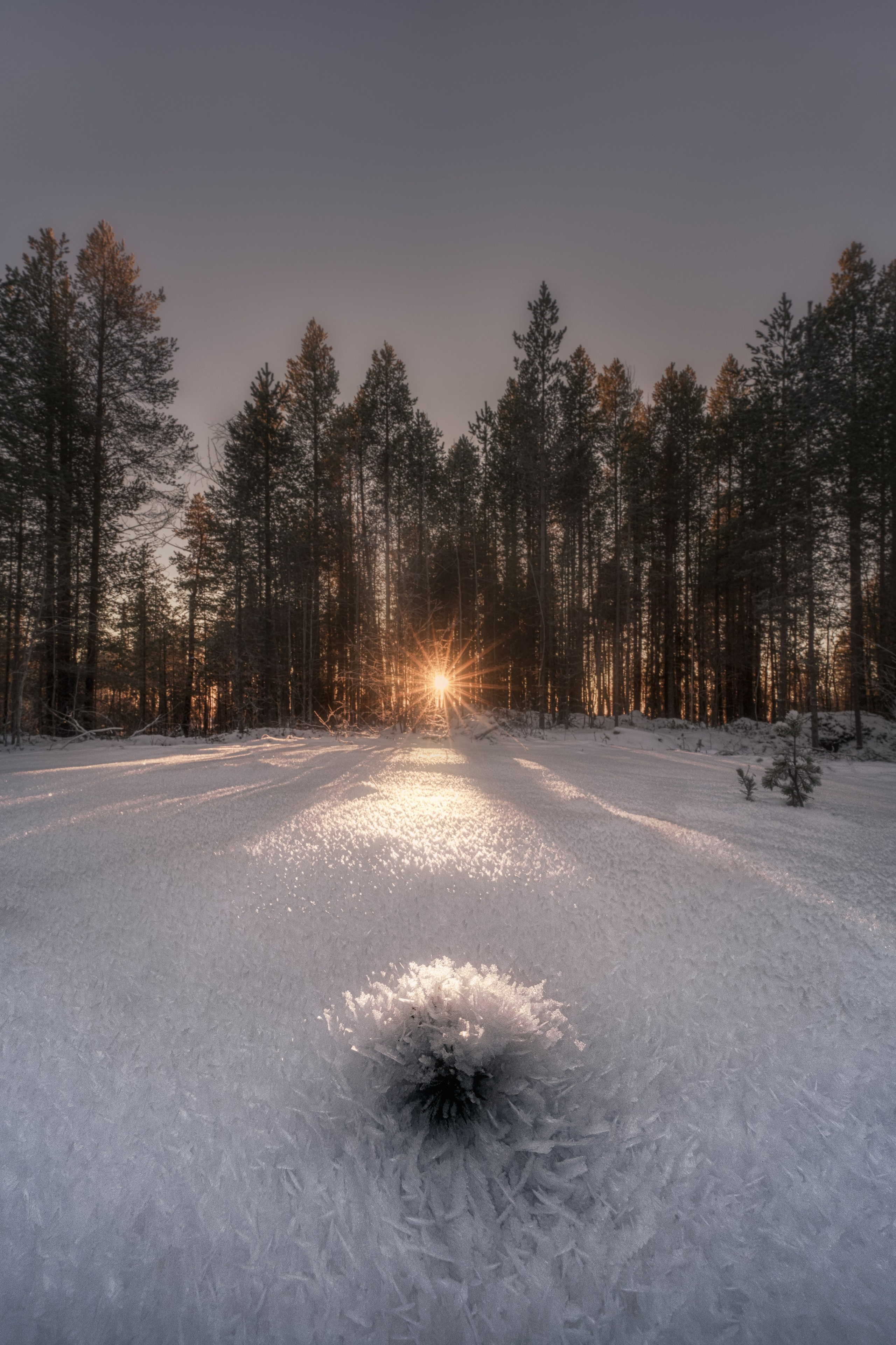 Предзимье на Кольском
