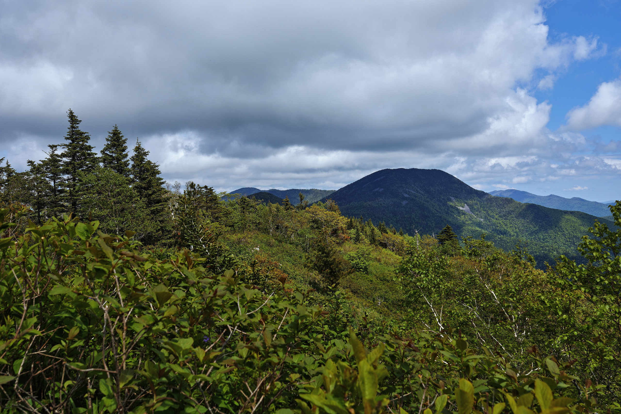 Красивый горный пейзаж в Приморье от профессионального пейзажного фотографа