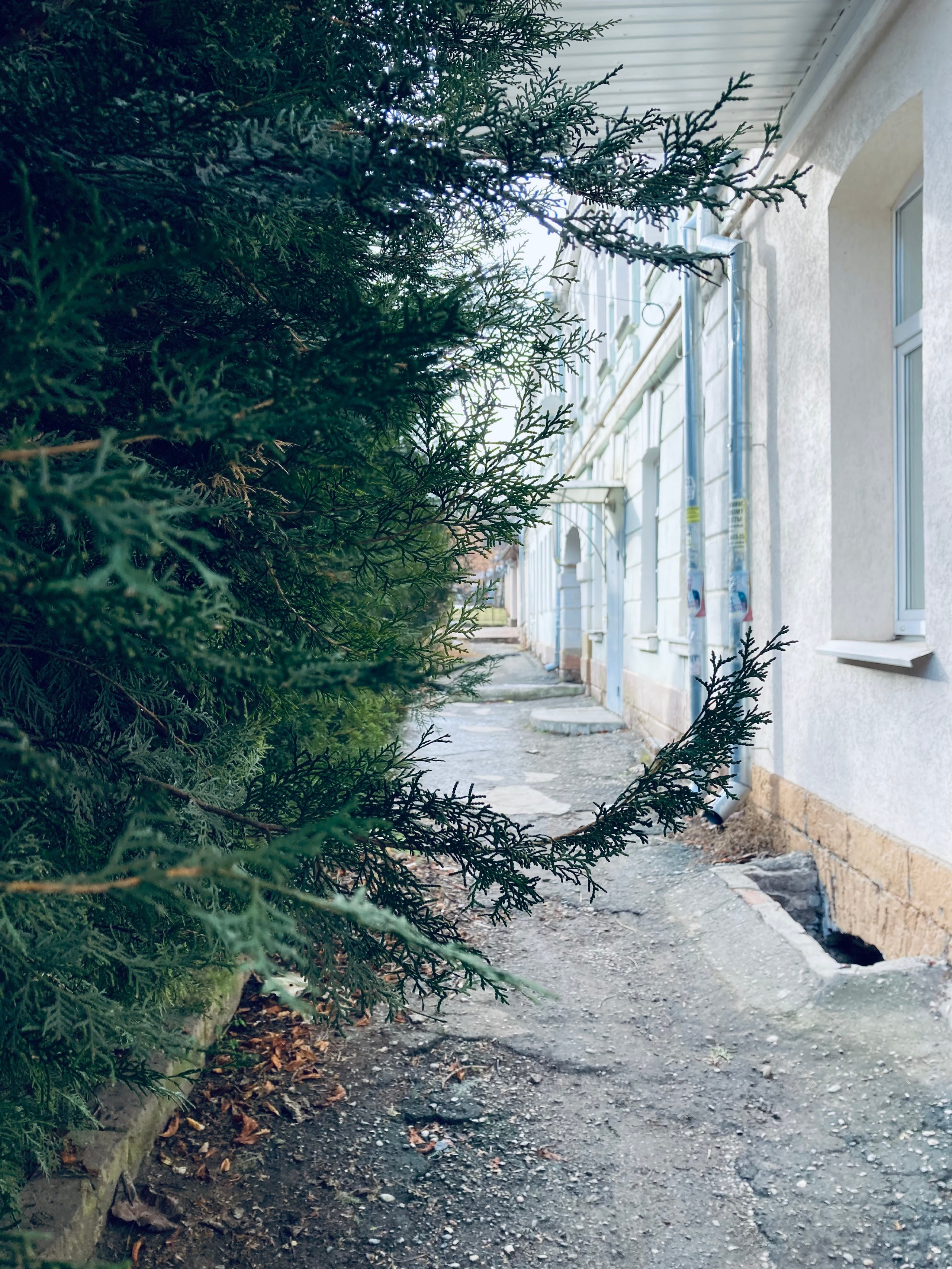 Кисловодск. Смотри, красота!