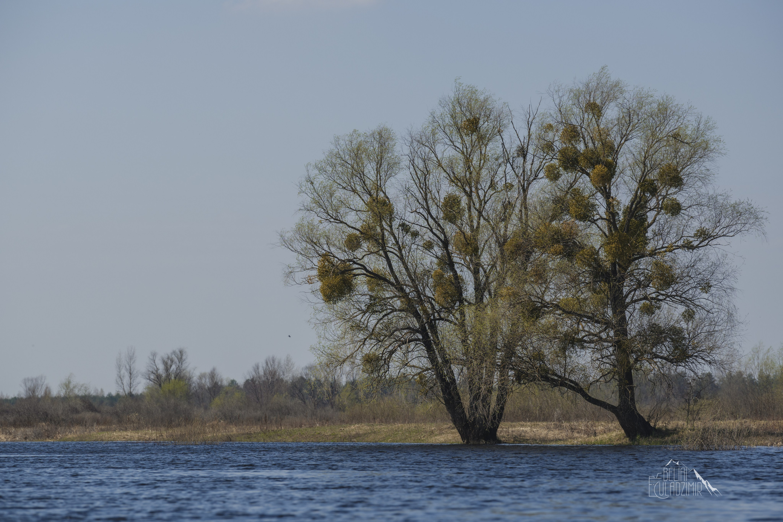 Сплав по реке Тремля 04.04.2026. Репортажный фотограф Владимир Беляй