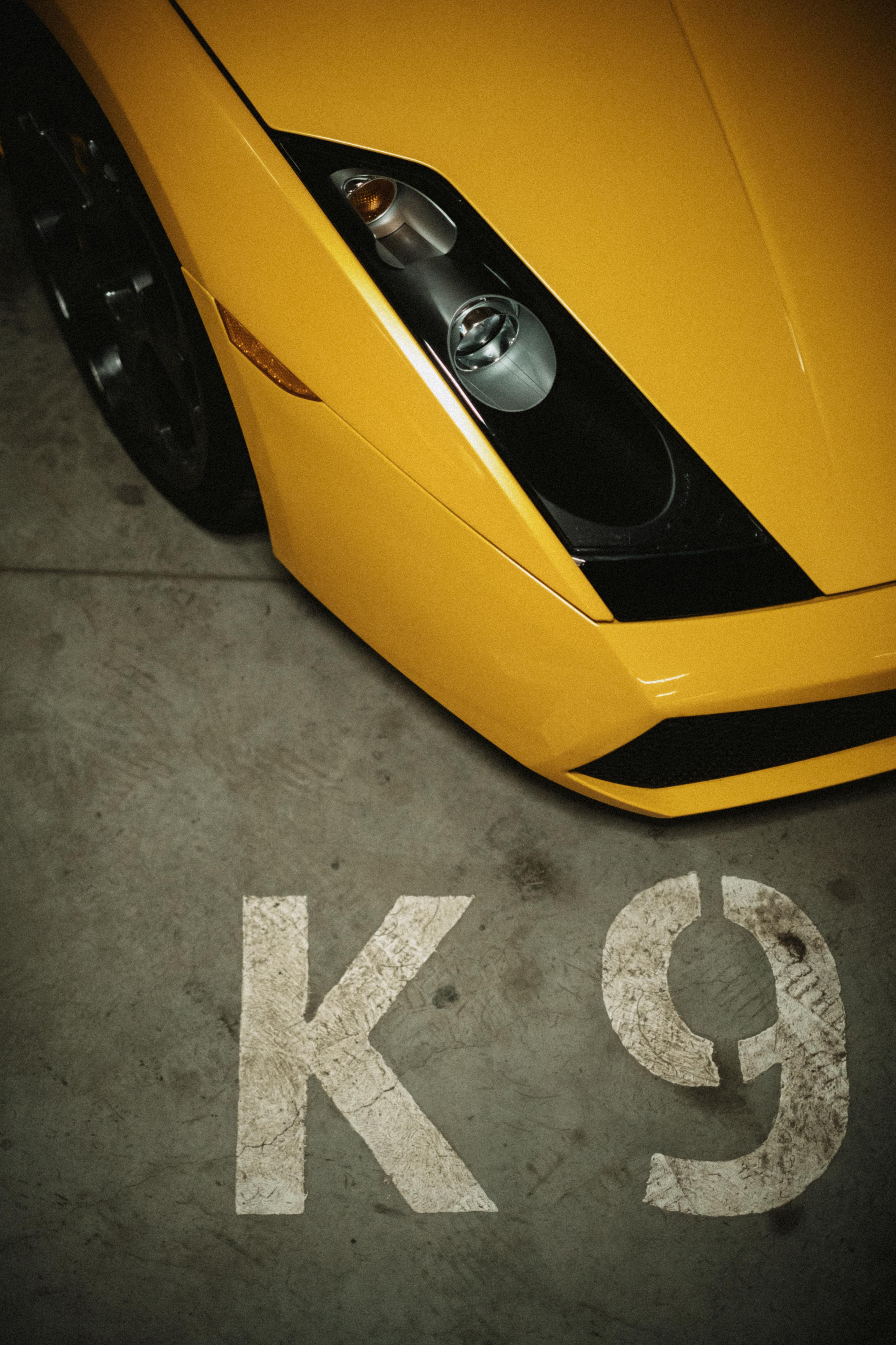 No MUSCLE Garage. СПБ. Фотограф-психолог, стильная контентная и портретная съемка в Москве