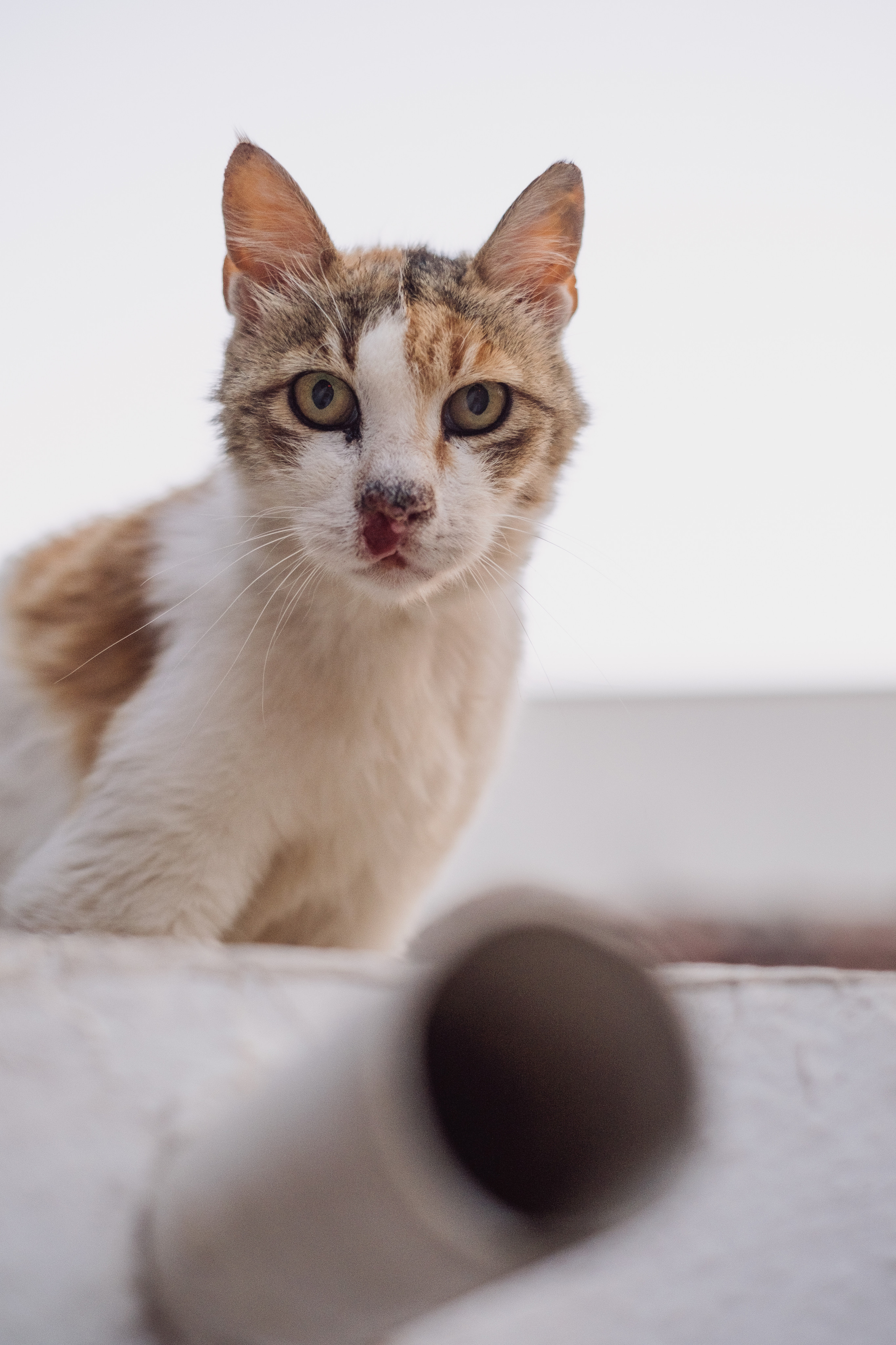 Турция и немного Греции. Фотограф-психолог, стильная контентная и портретная съемка в Москве