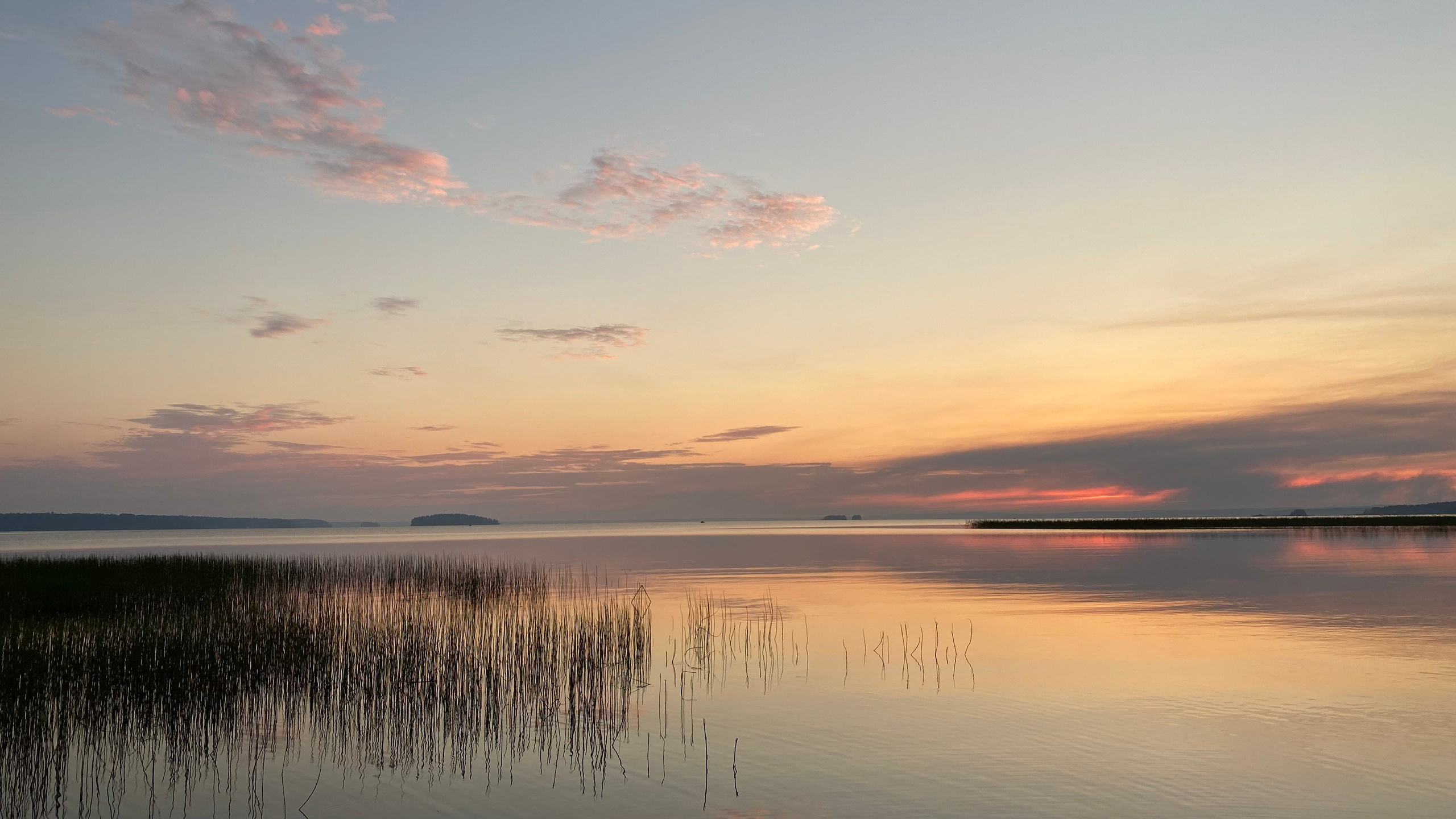Вода. Эстет в моменте