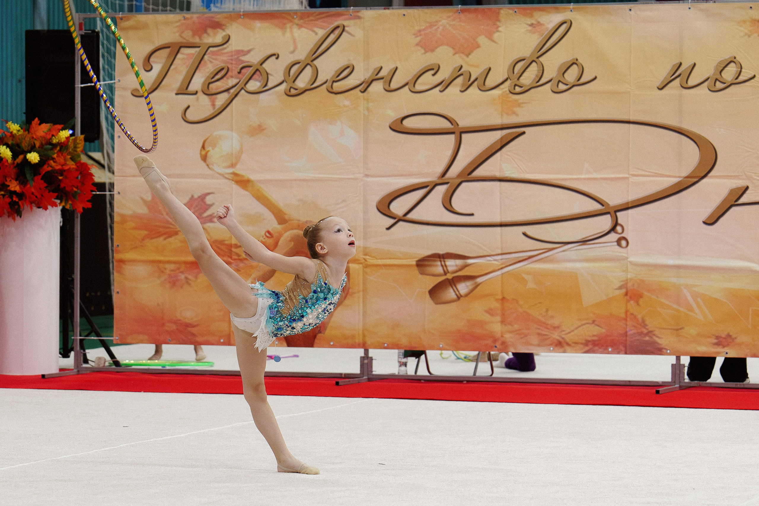 XII городские соревнования по художественной гимнастике «ДЮЙМОВОЧКА». Фотомастерская Воробьевых