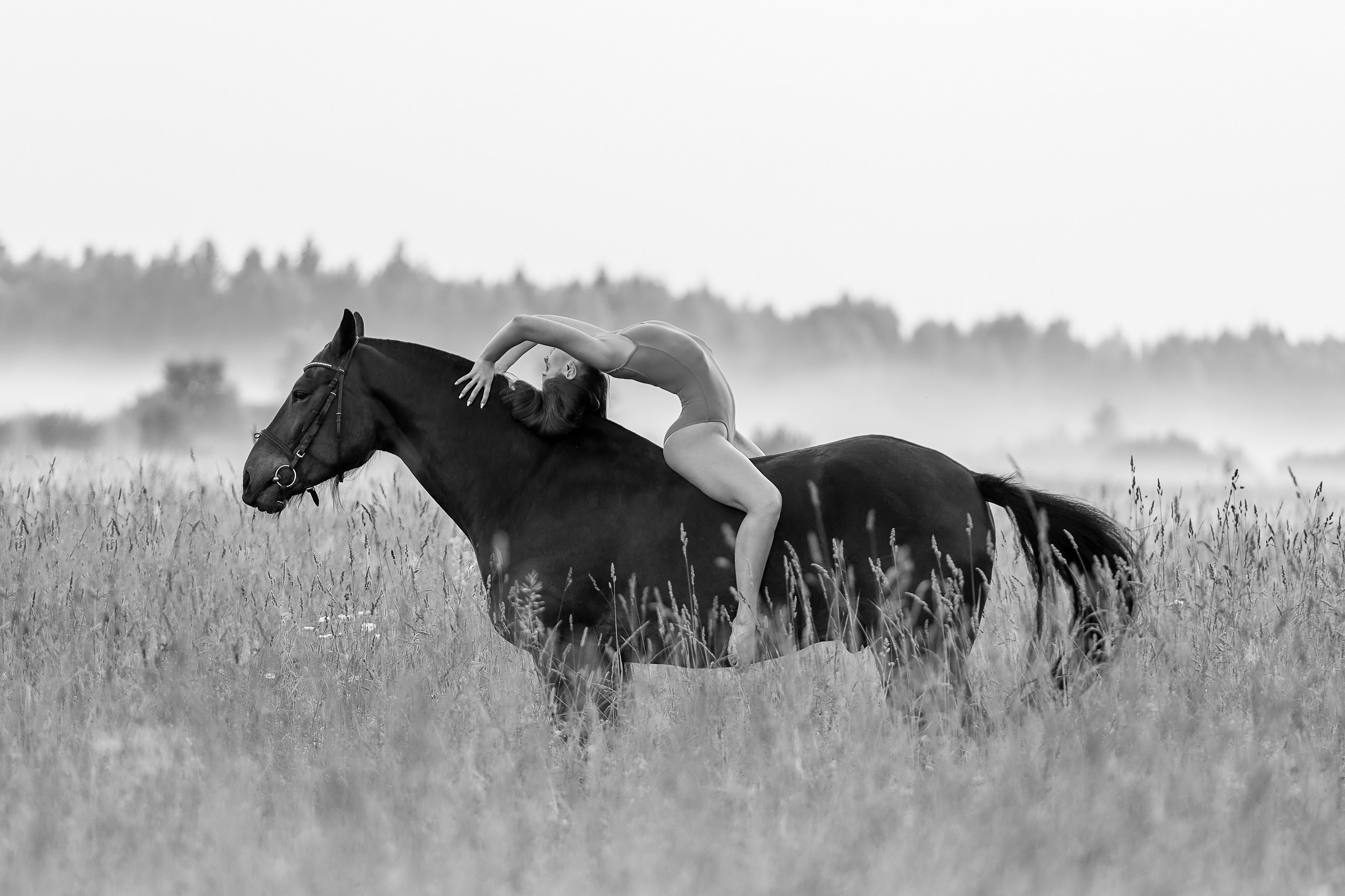 Балет и лошади, фотосессия «ГРАЦИЯ и СИЛА-1» Фотограф Михаил Семенов г. Ярославль