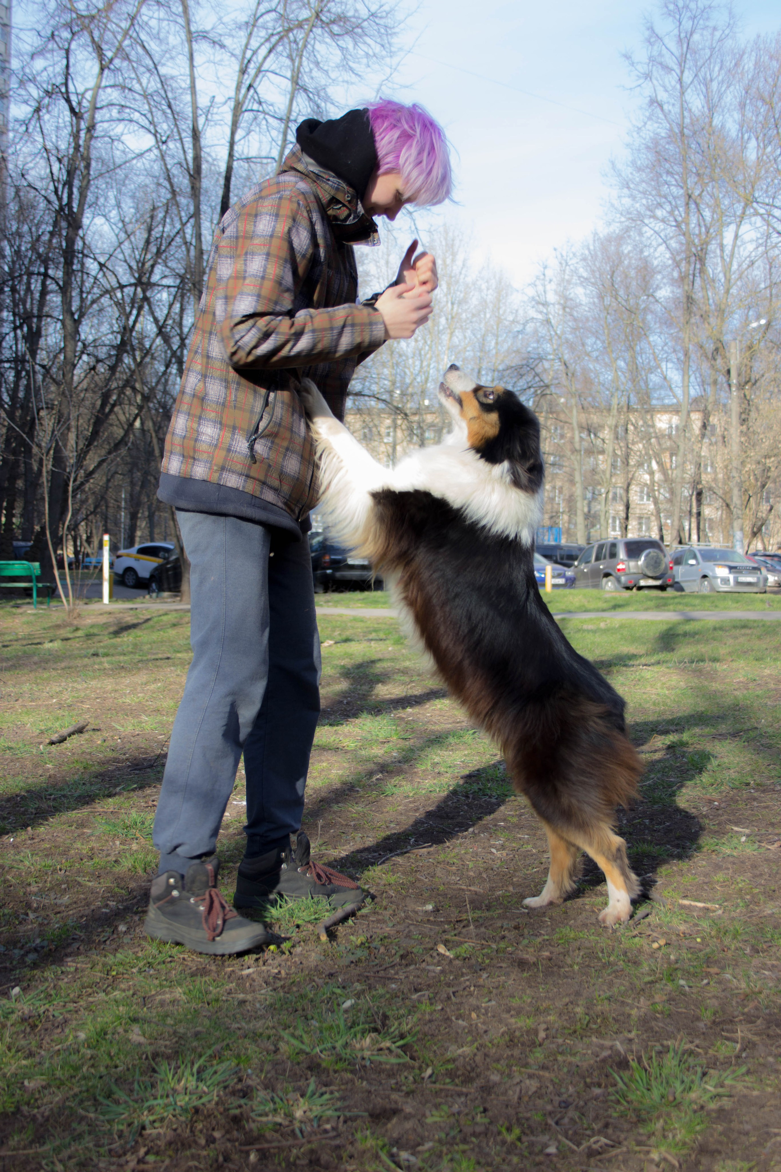Нами. BLGKV питомник собак