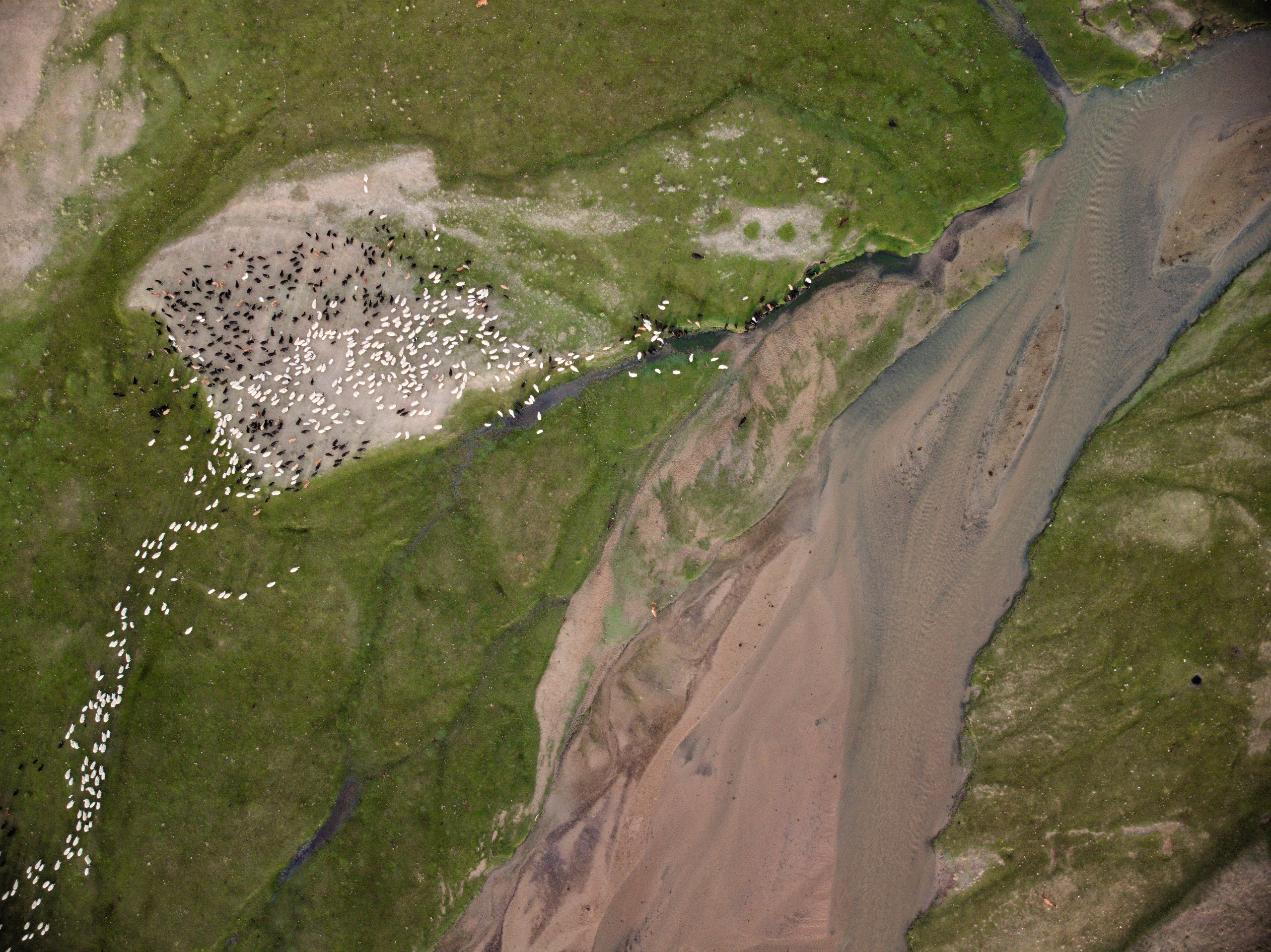 Экспедиция в Монголию (котловина больших озер). Семоха Валерий. Фотограф
