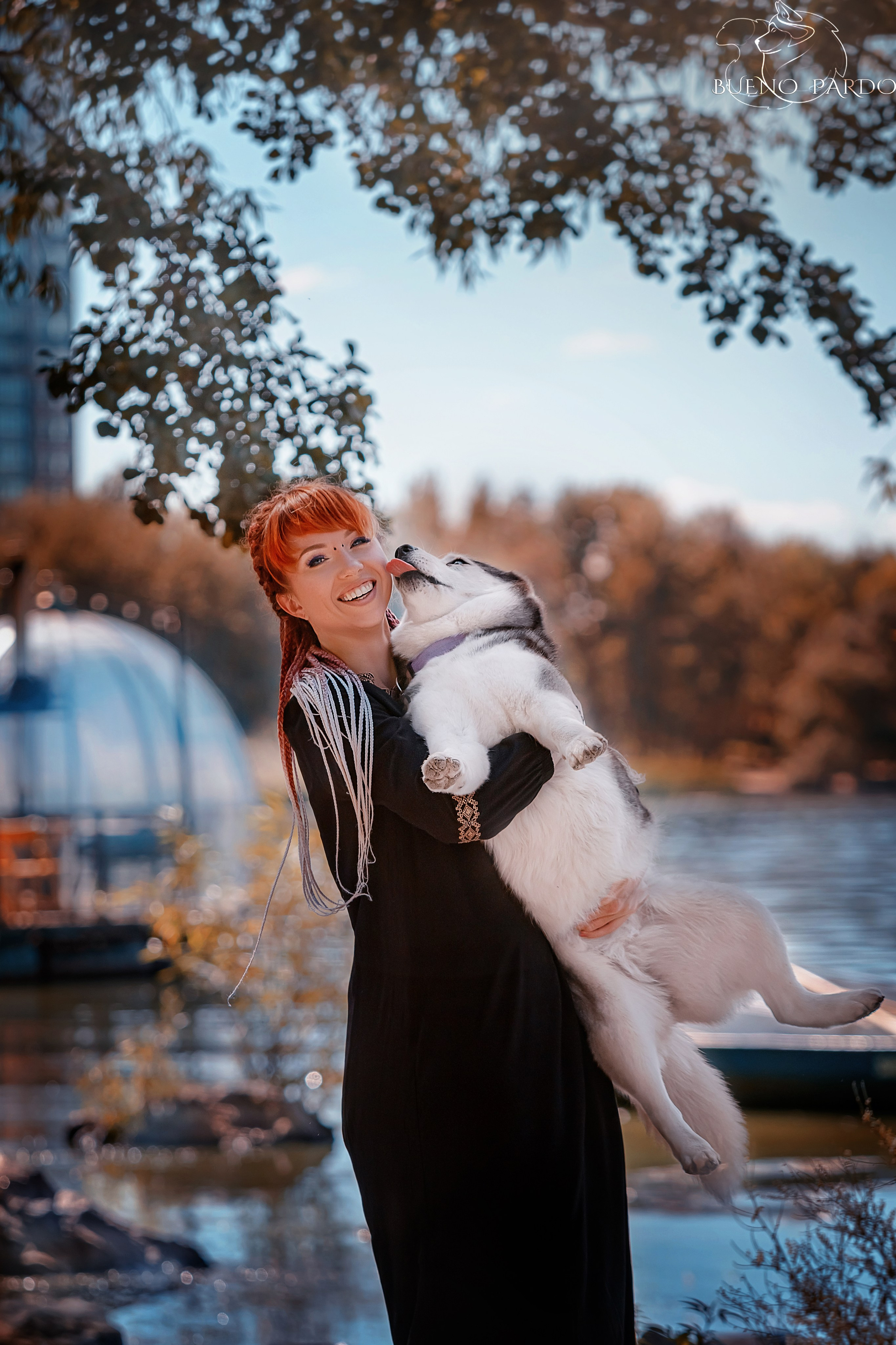 Собаки питомника Bueno Pardo. Питомник собак Акита, Хаски, Корги