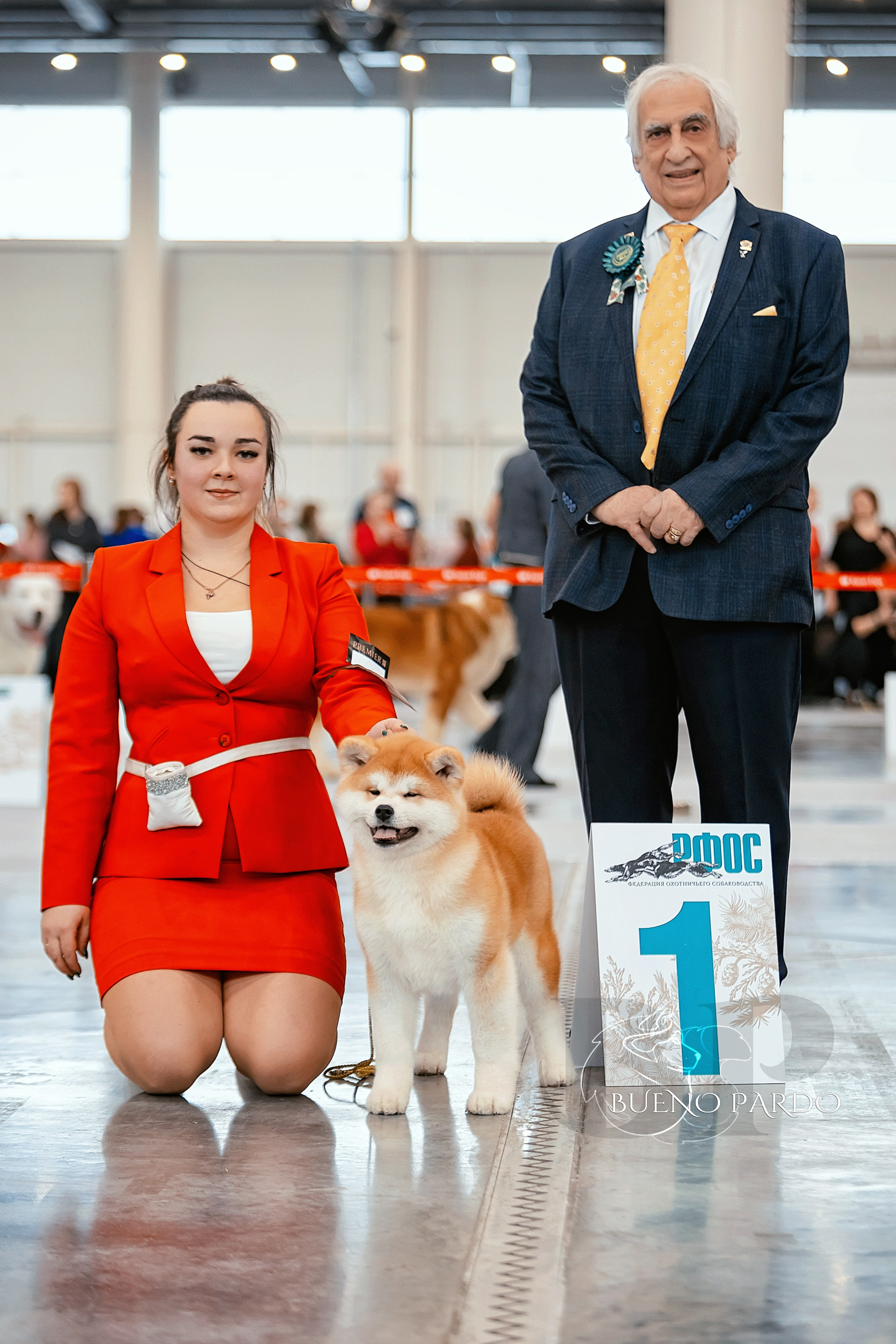 Собаки питомника Bueno Pardo. Питомник собак Акита, Хаски, Корги