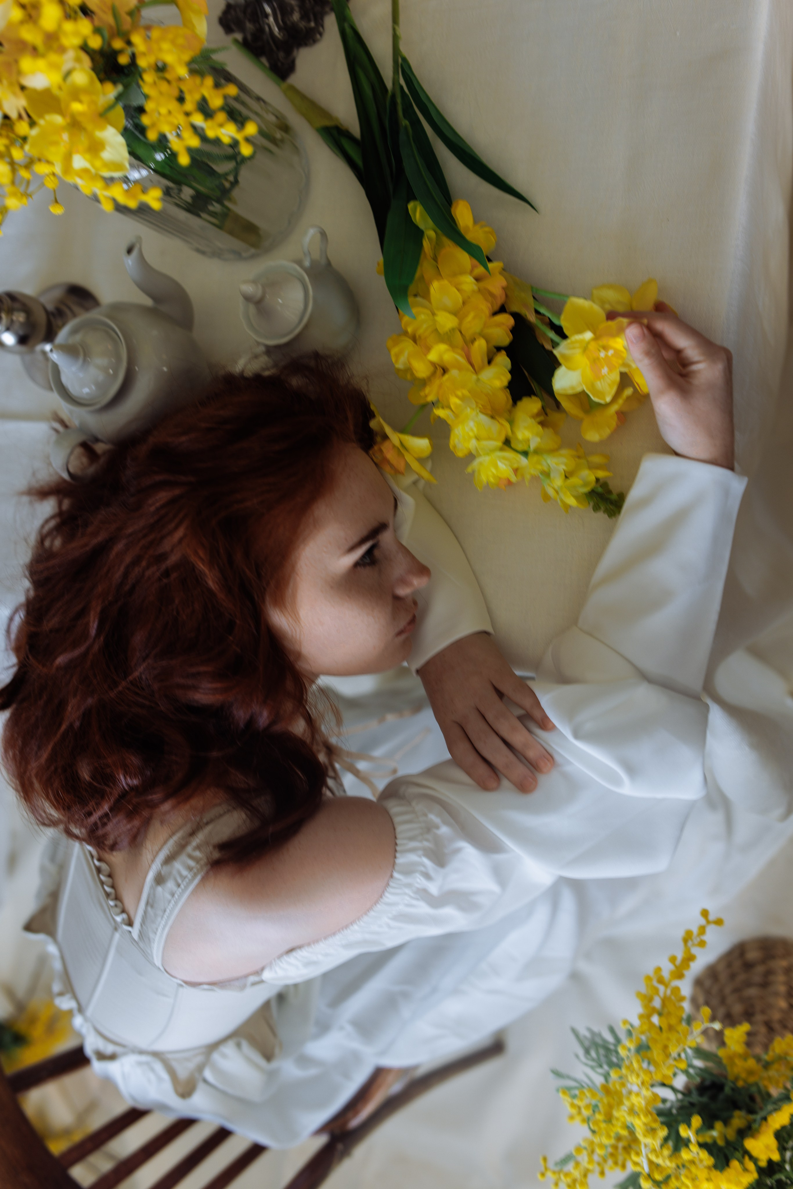 Мимоза. Фотограф в Ульяновске