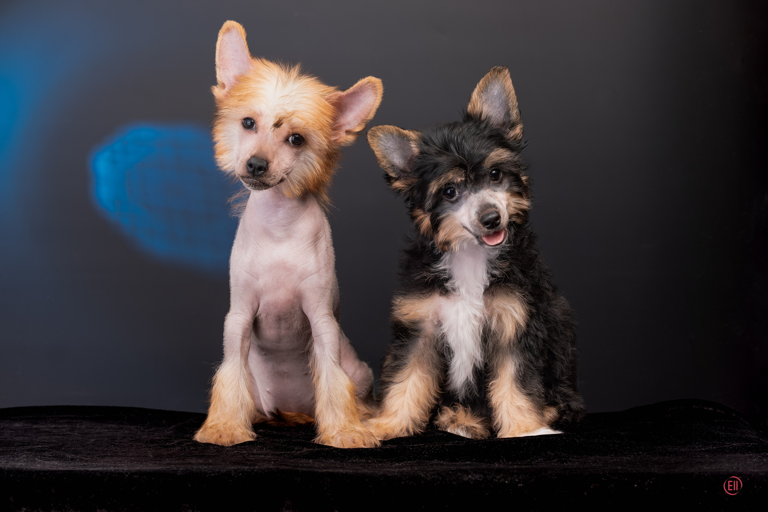 2 months and 24 days