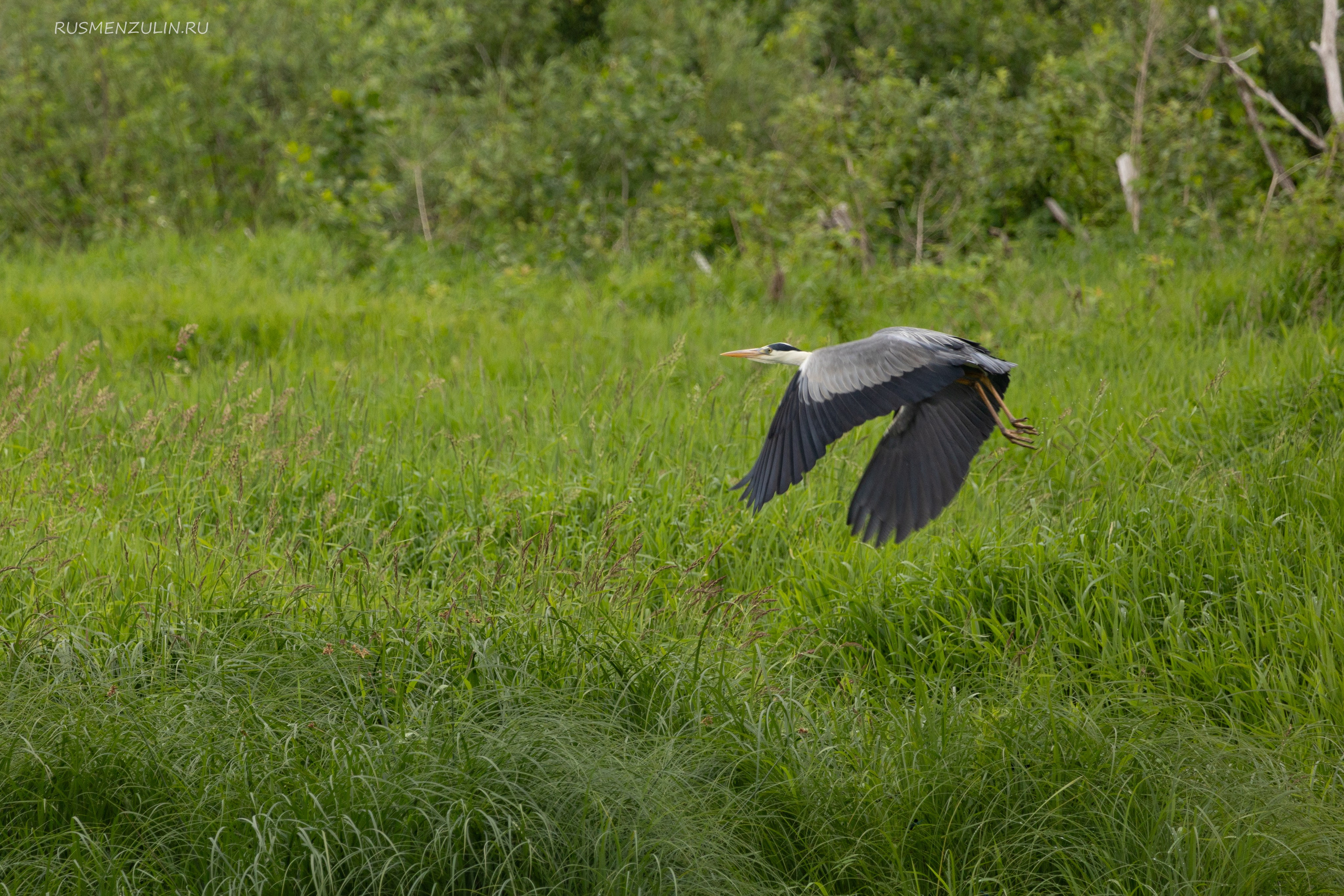 Фотосессия в Никола Ленивце