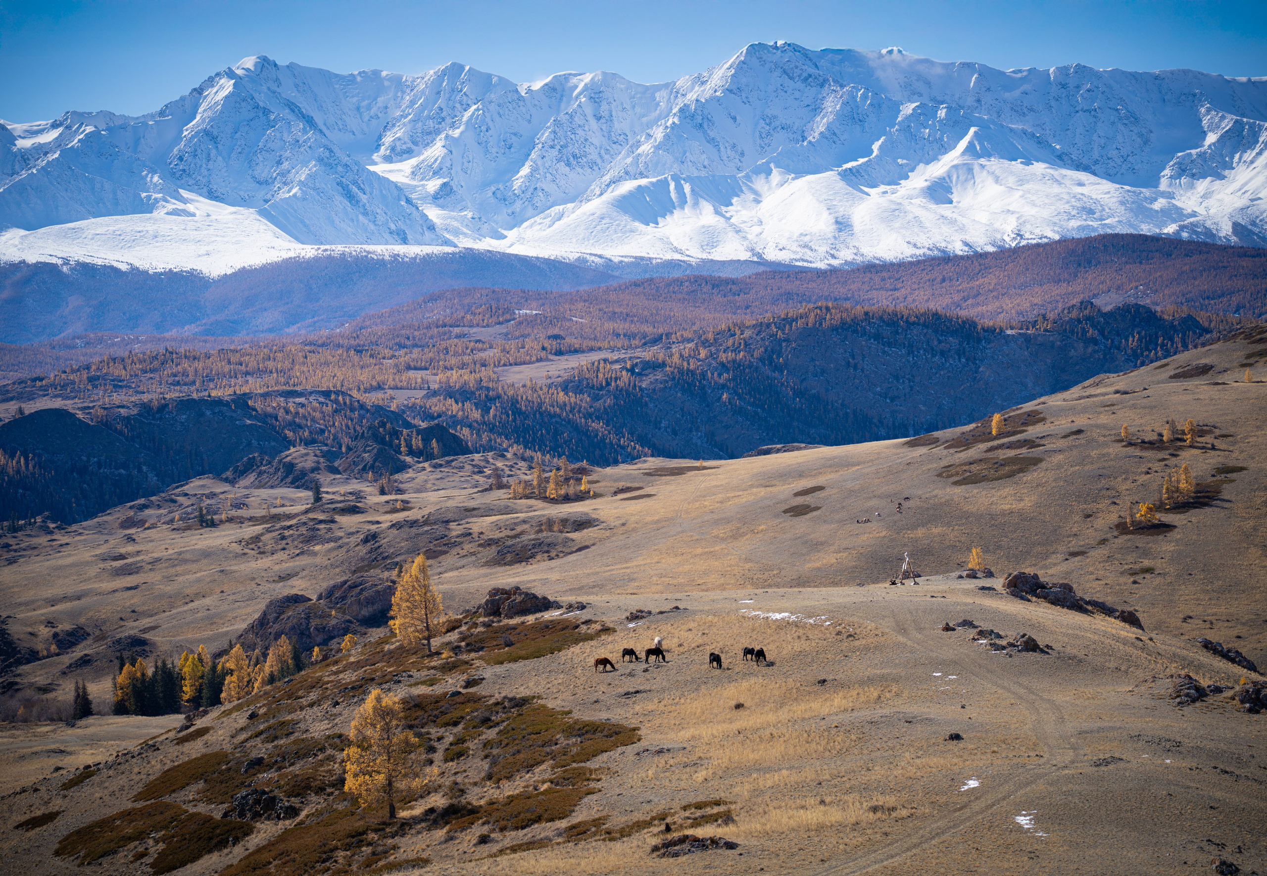 Фотографии Тиграна Худавердяна
