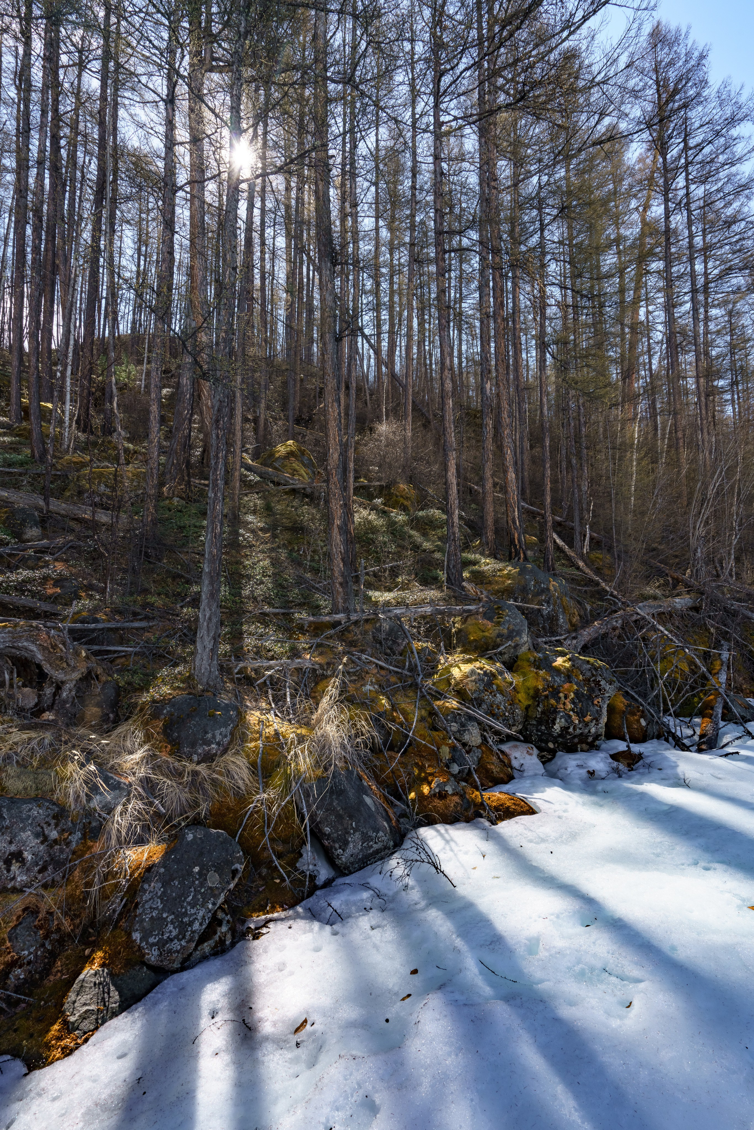 Чарские пески и Кодар