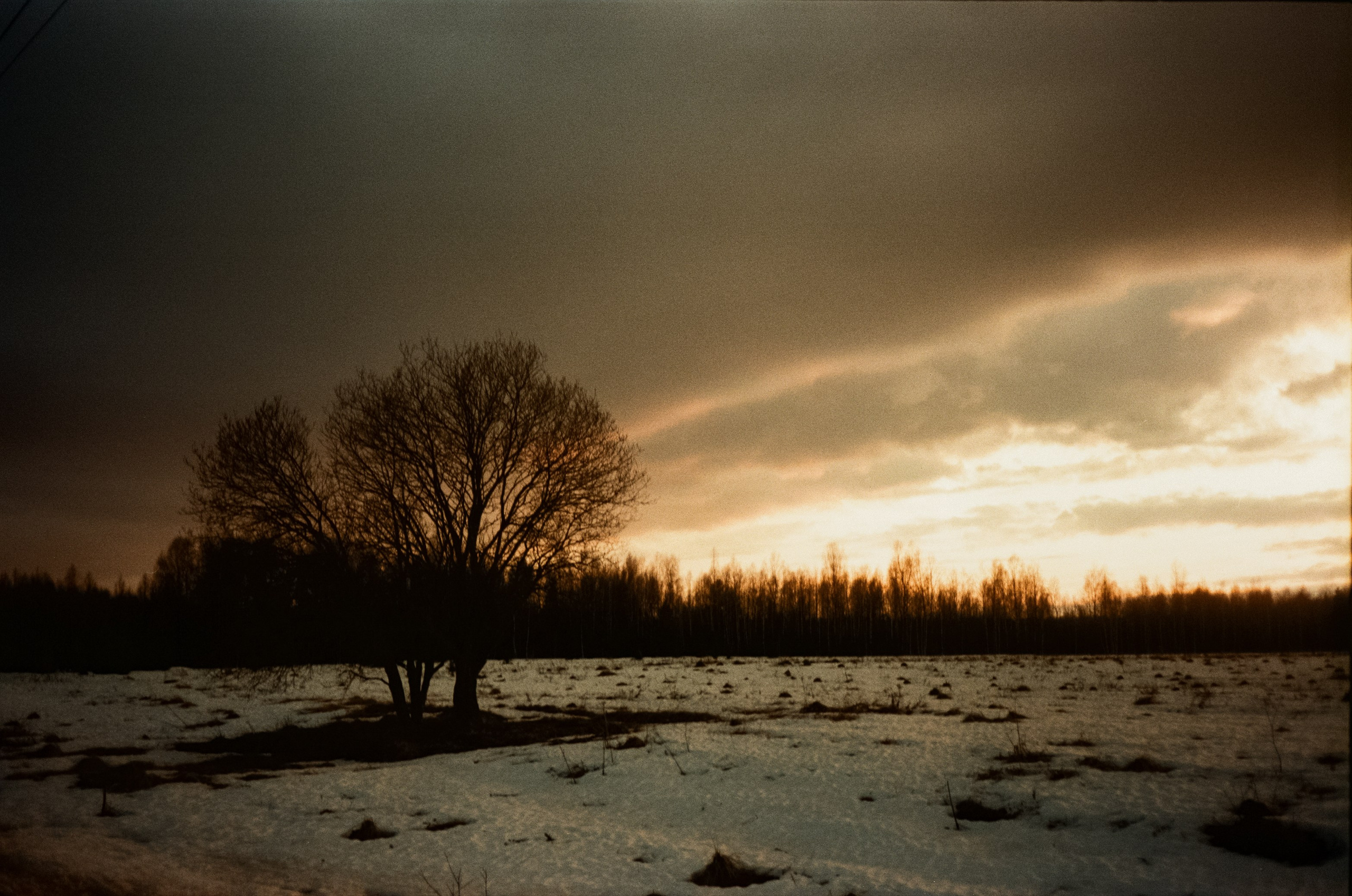 Ricoh FF-300D / Fujifilm X-tra 400 (просрочка) / Лукино март 2024 г