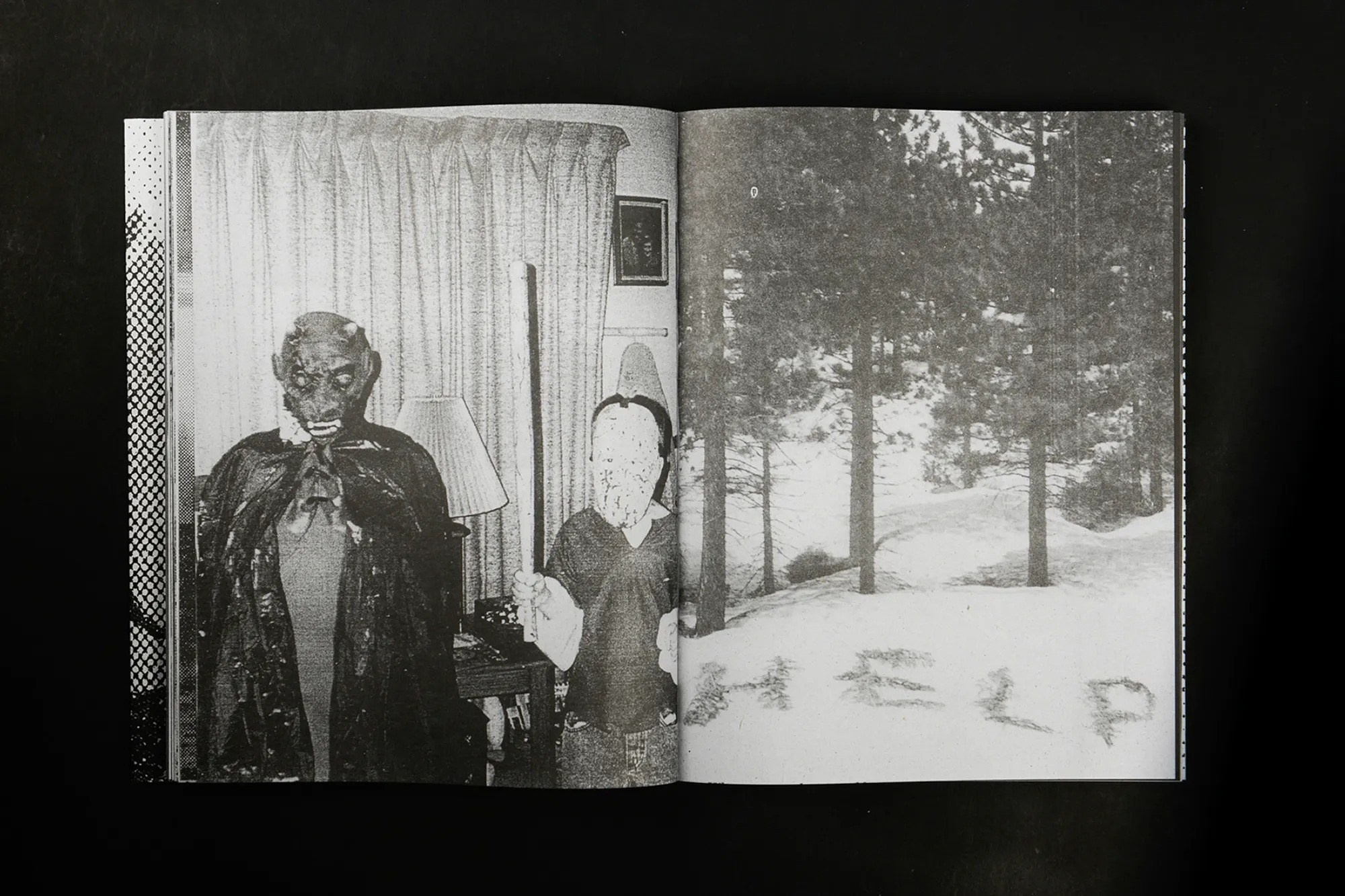 ПОПУЛЯРНЫЕ ОШИБКИ ПРИ СОЗДАНИИ ФОТОКНИГИ: Часть вторая — про содержание и нарратив. Самоорганизация Низина