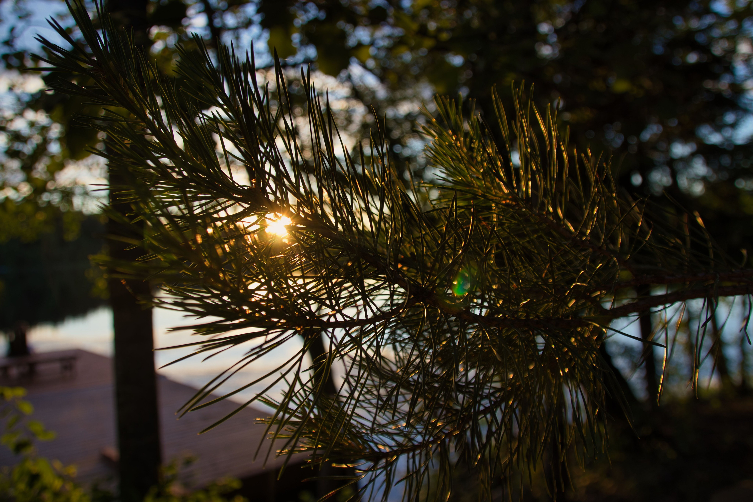Фотограф в Санкт-Петербурге Георгий Елецких