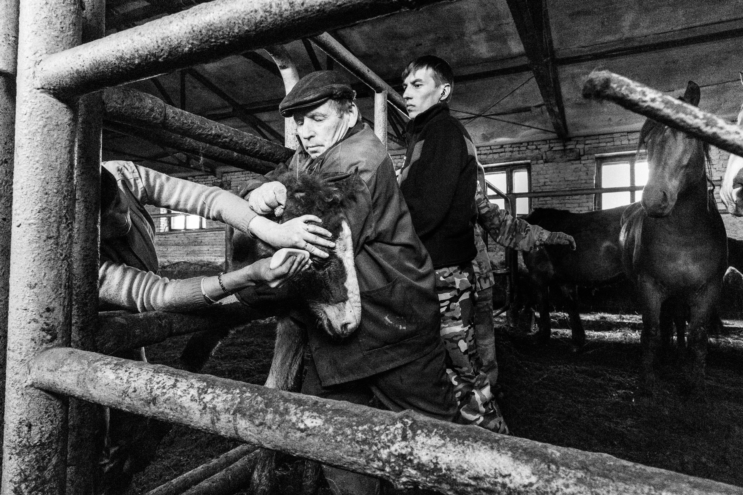 Татьяна Корчагина. Фотограф, художник. Обучение фотографии