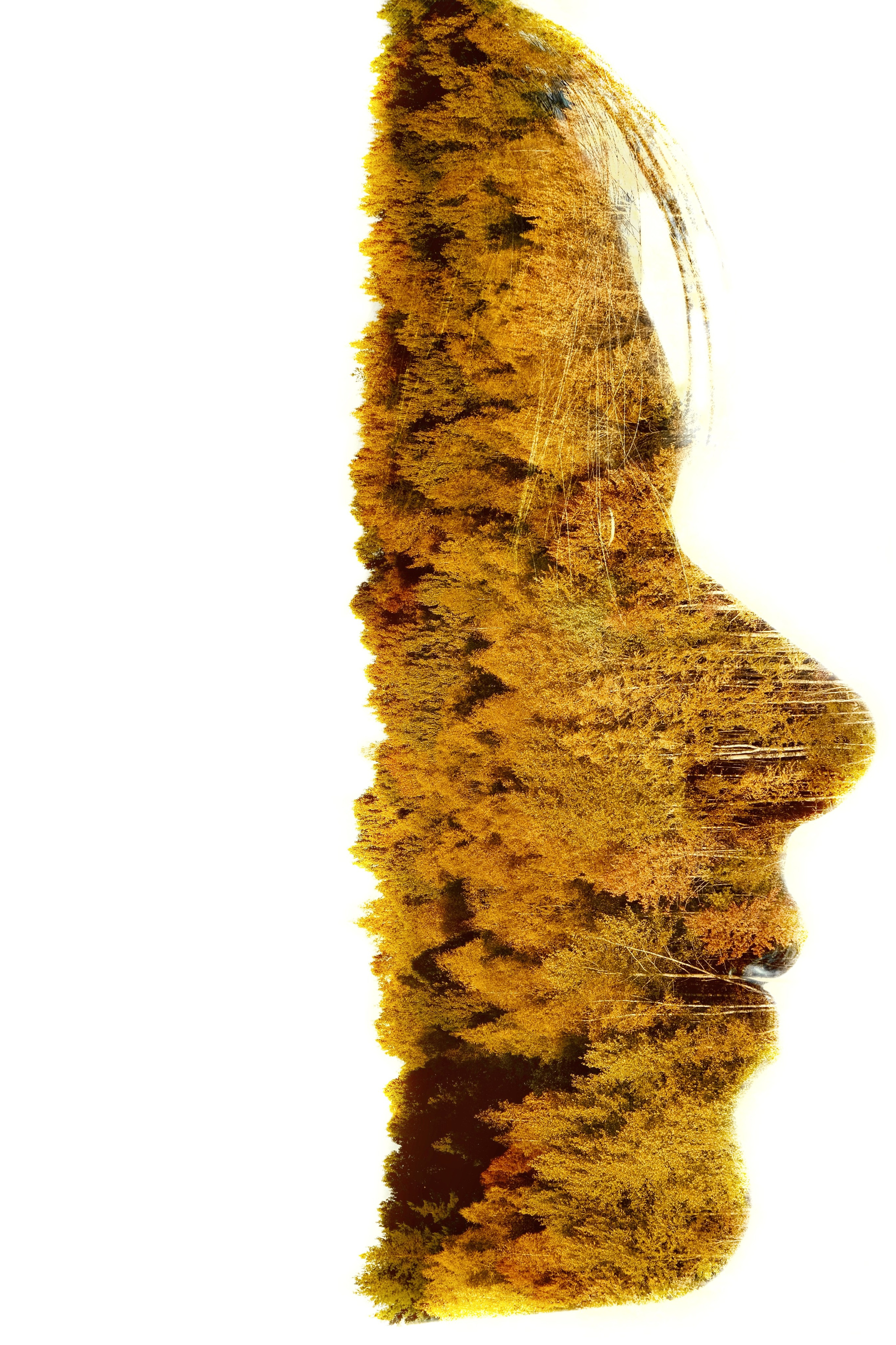 Русский север 27.09.25 — 05.10.25. Фотострелка