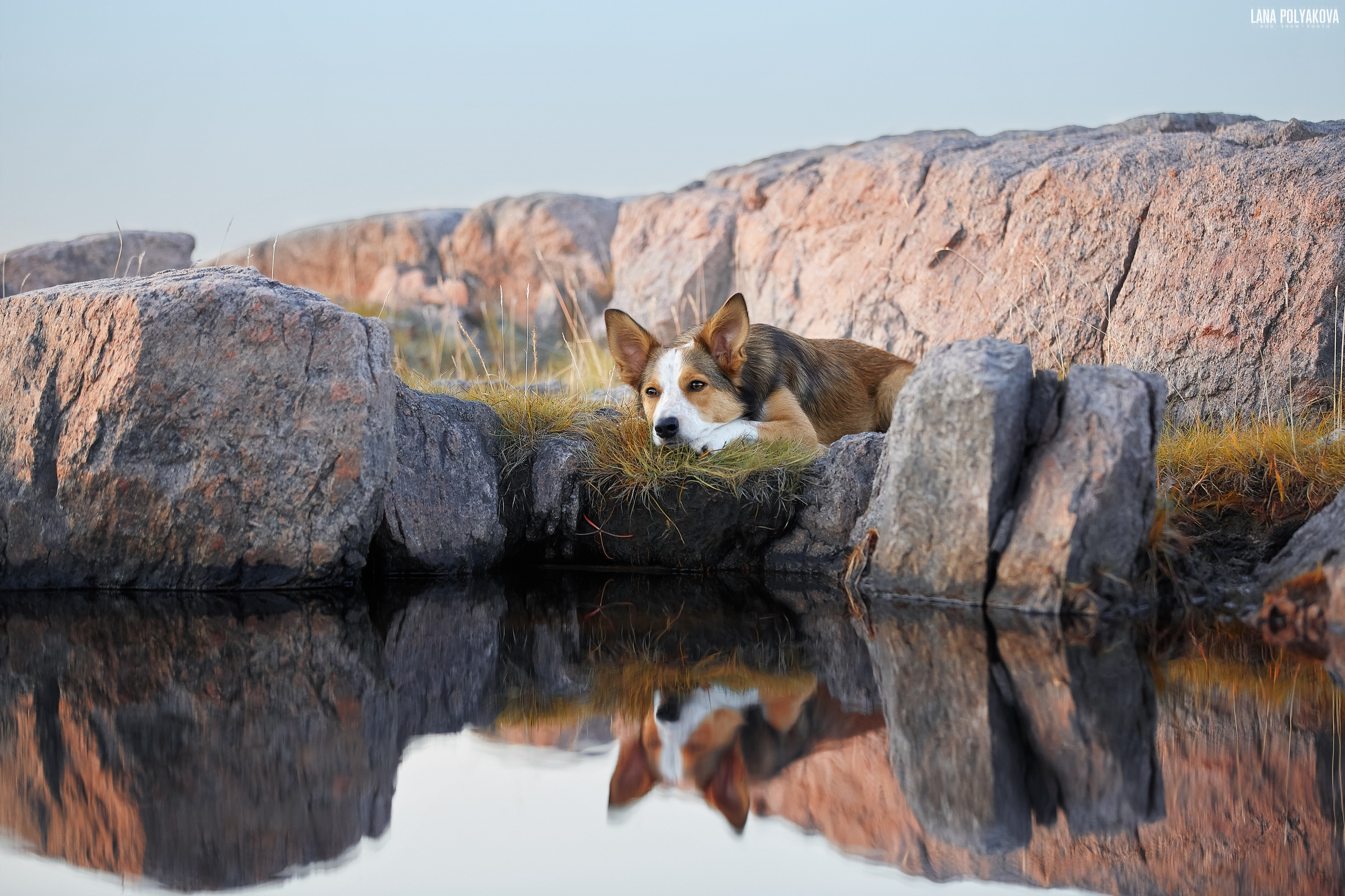 Териберка, 2019