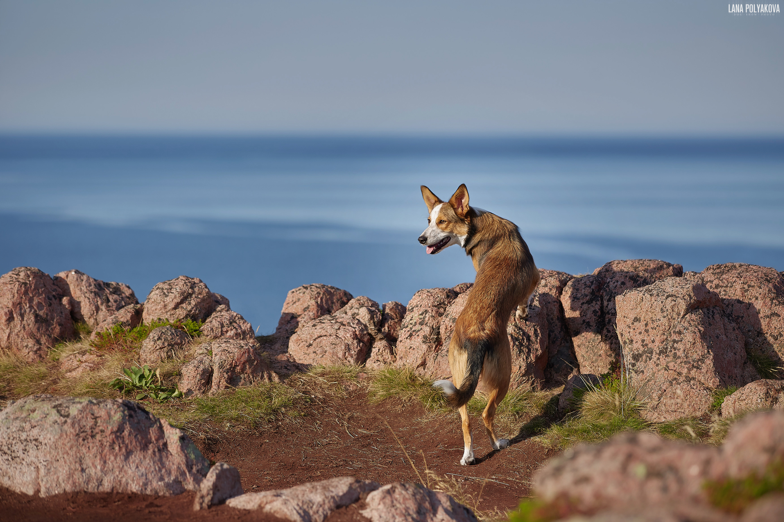 Териберка, 2019