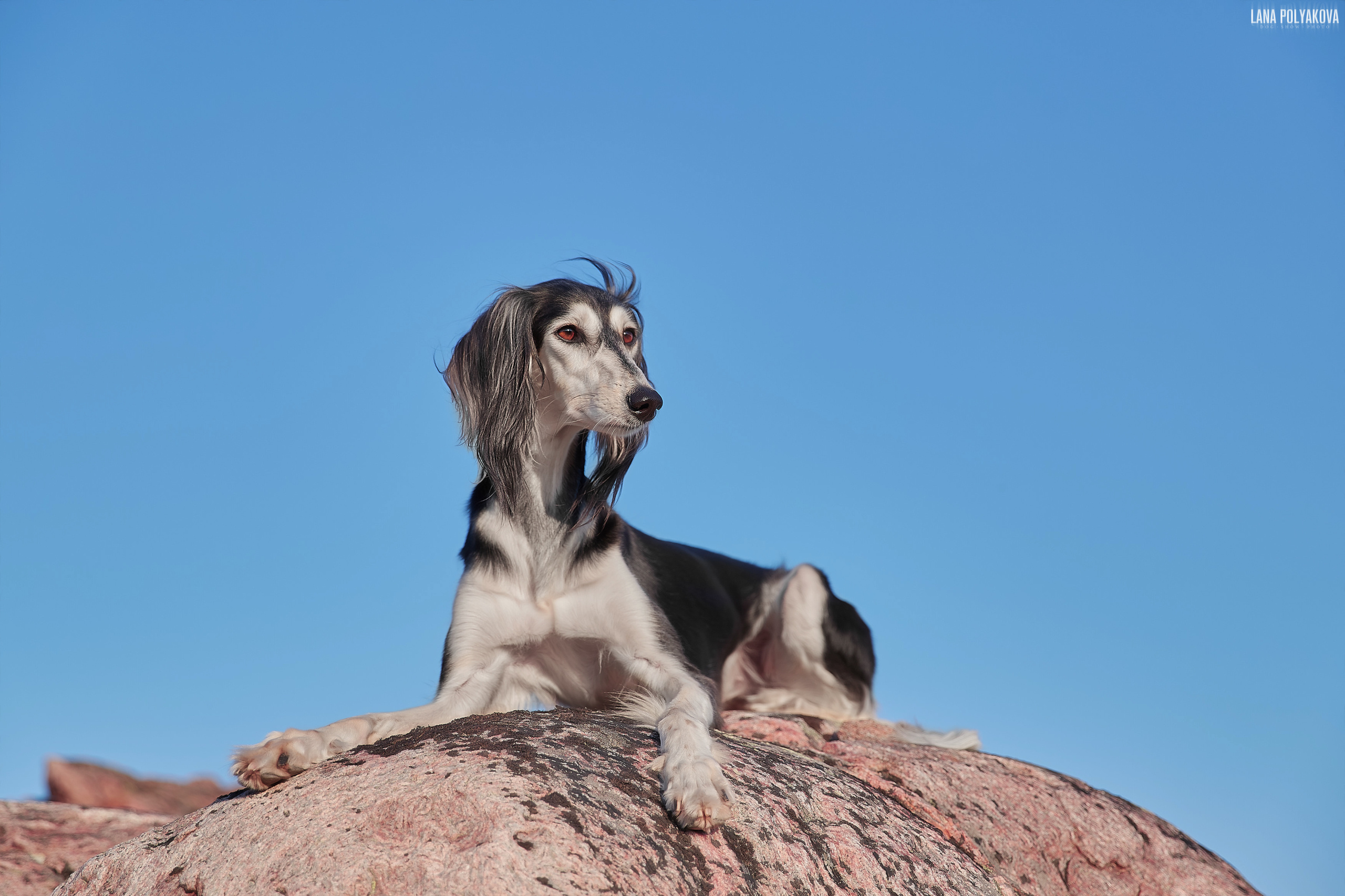 Териберка, 2019