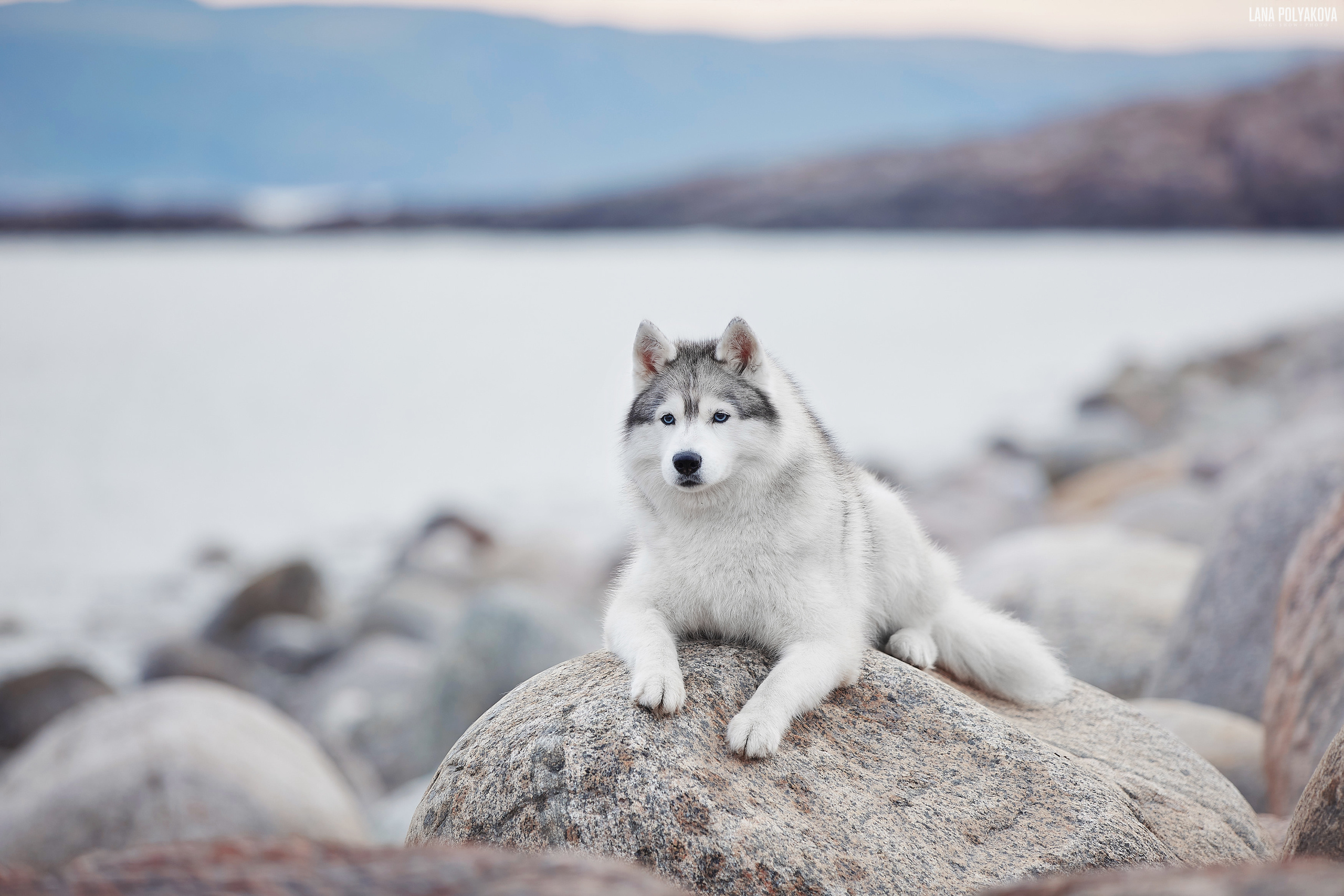 Териберка, 2019