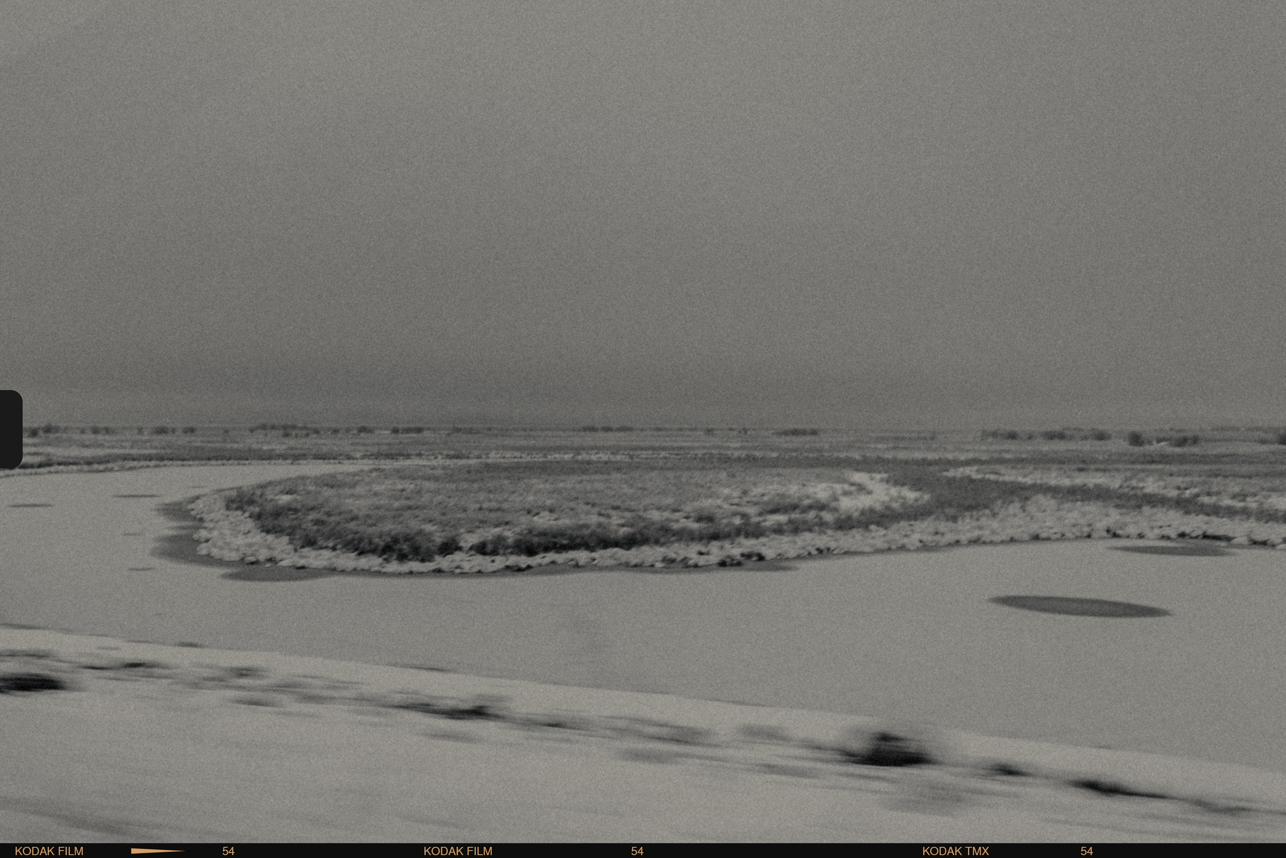 фотография черно белая природа