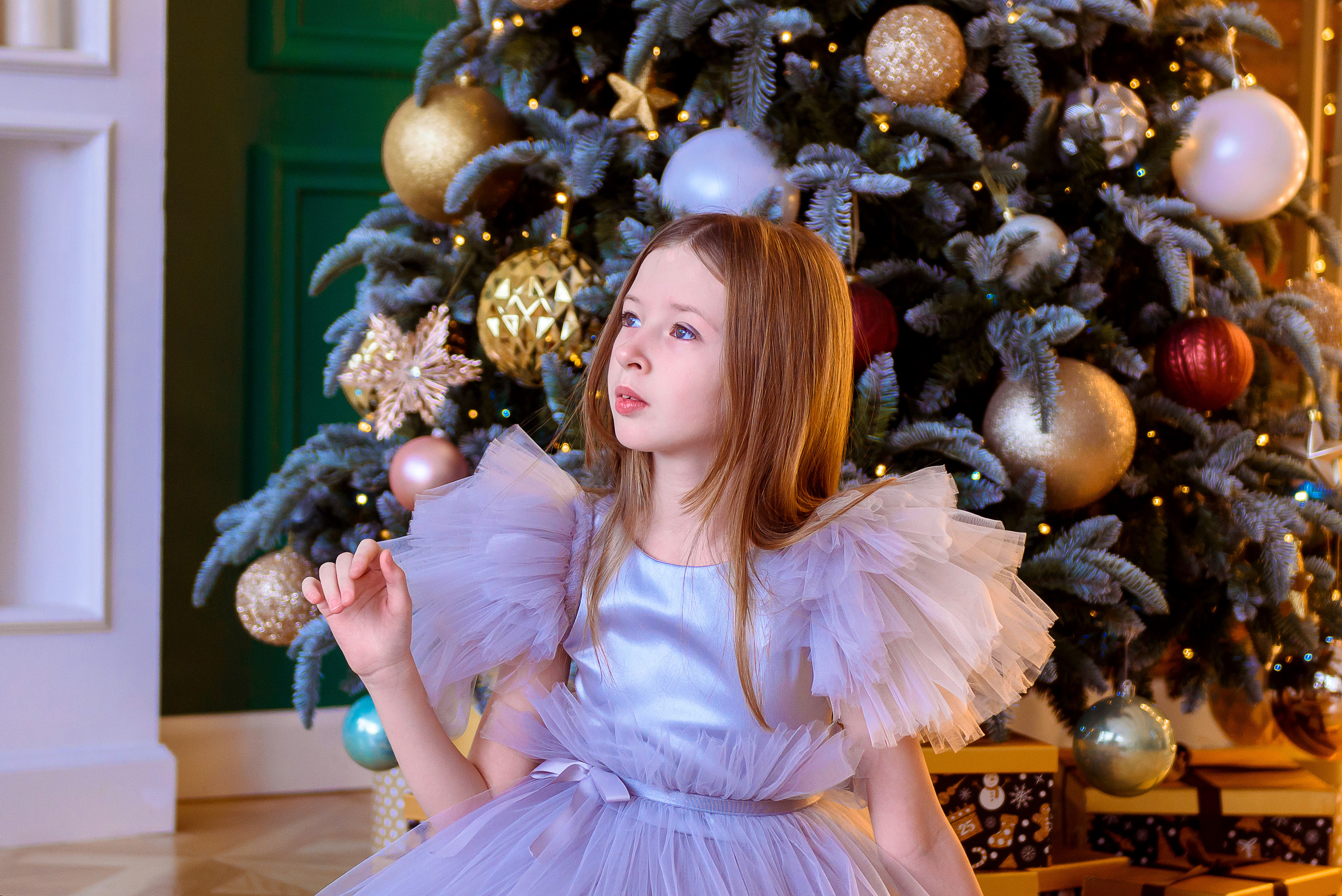 Новогдняя фотосессия одной красивой семьи. Фотограф. Выпускные альбомы в Барнауле