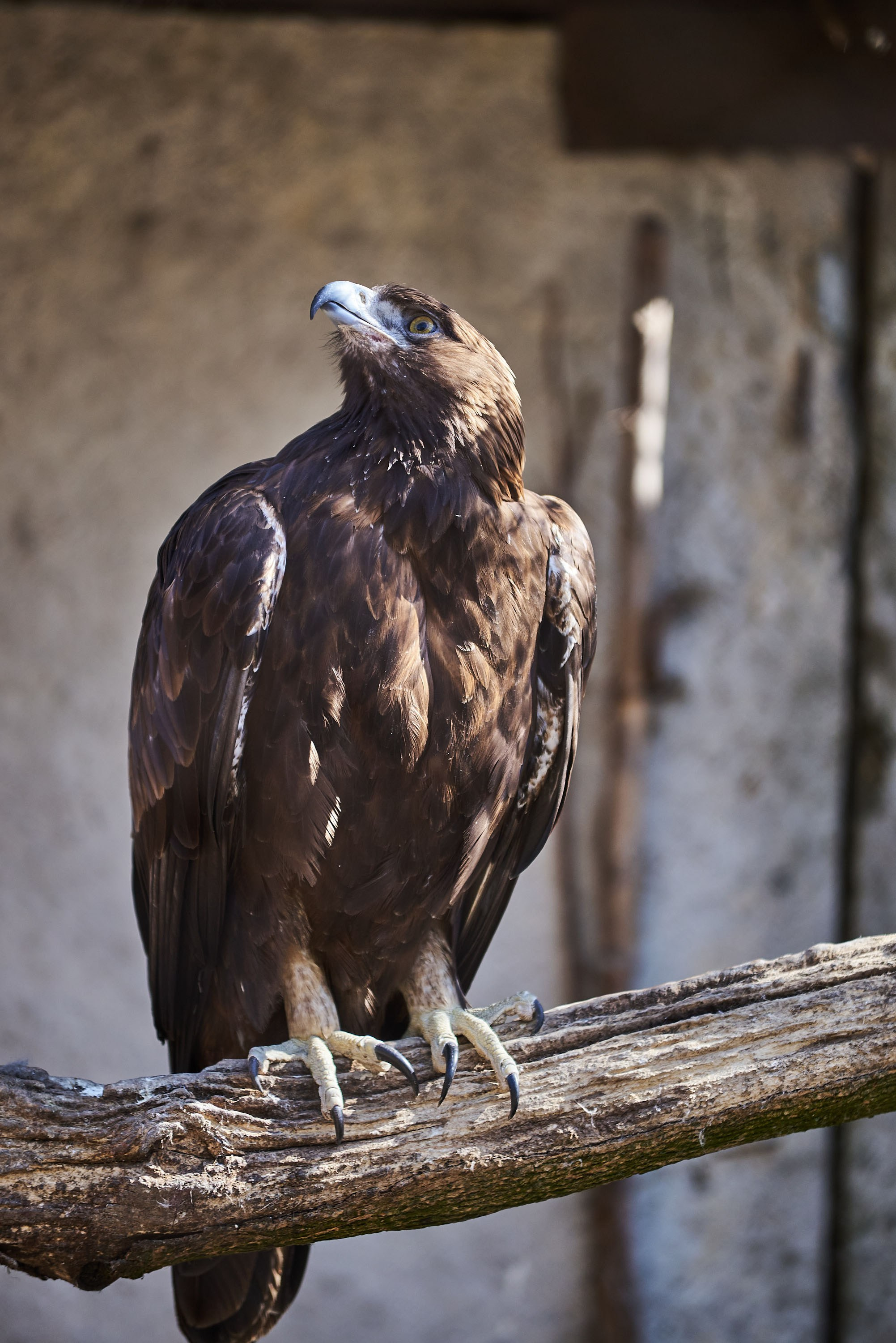 Зоопарк Иваново. Фотограф в Иваново: Каталожная съемка одежды и постельного белья, Wildberries