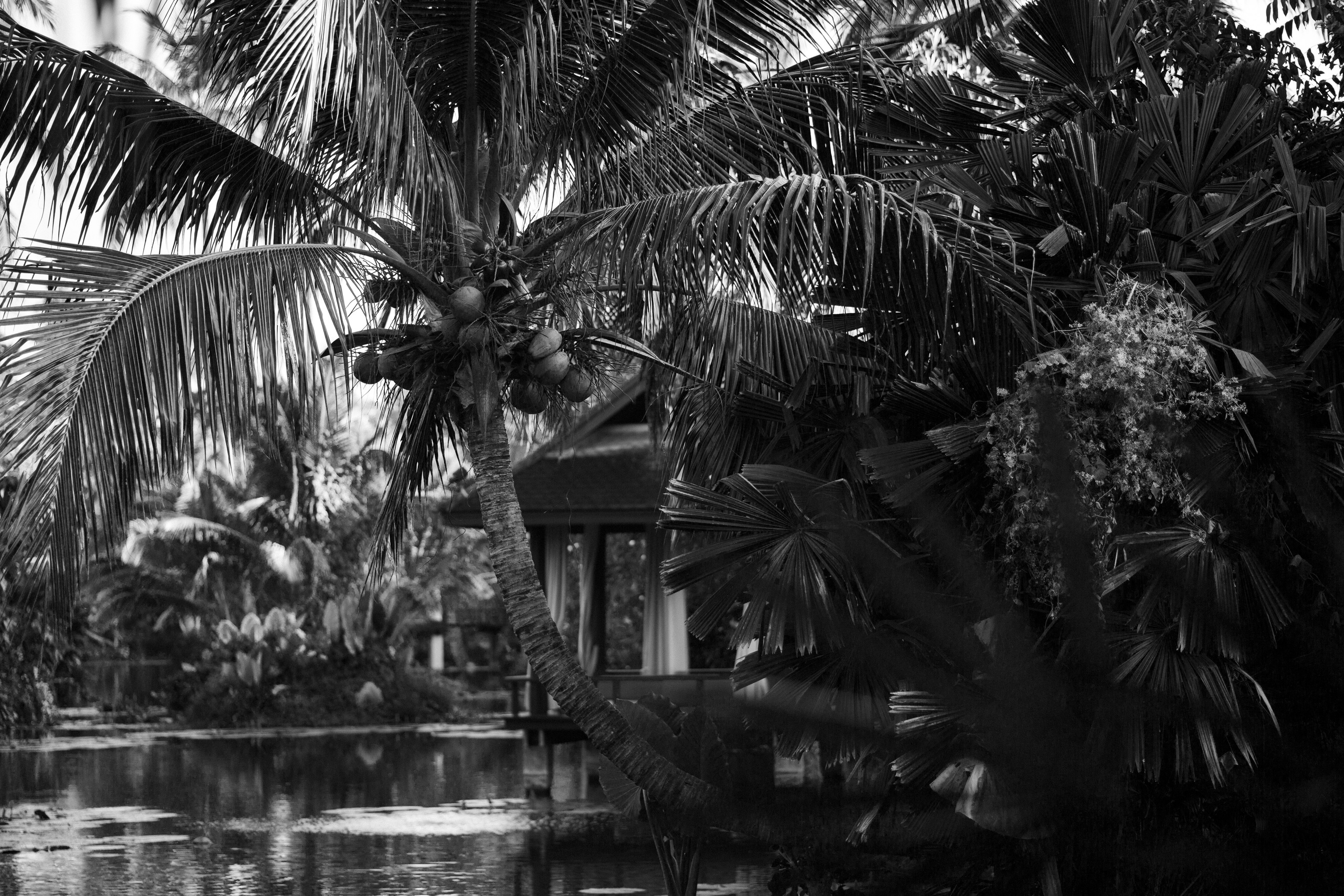 Таиланд. Фотограф Даша Омельченко