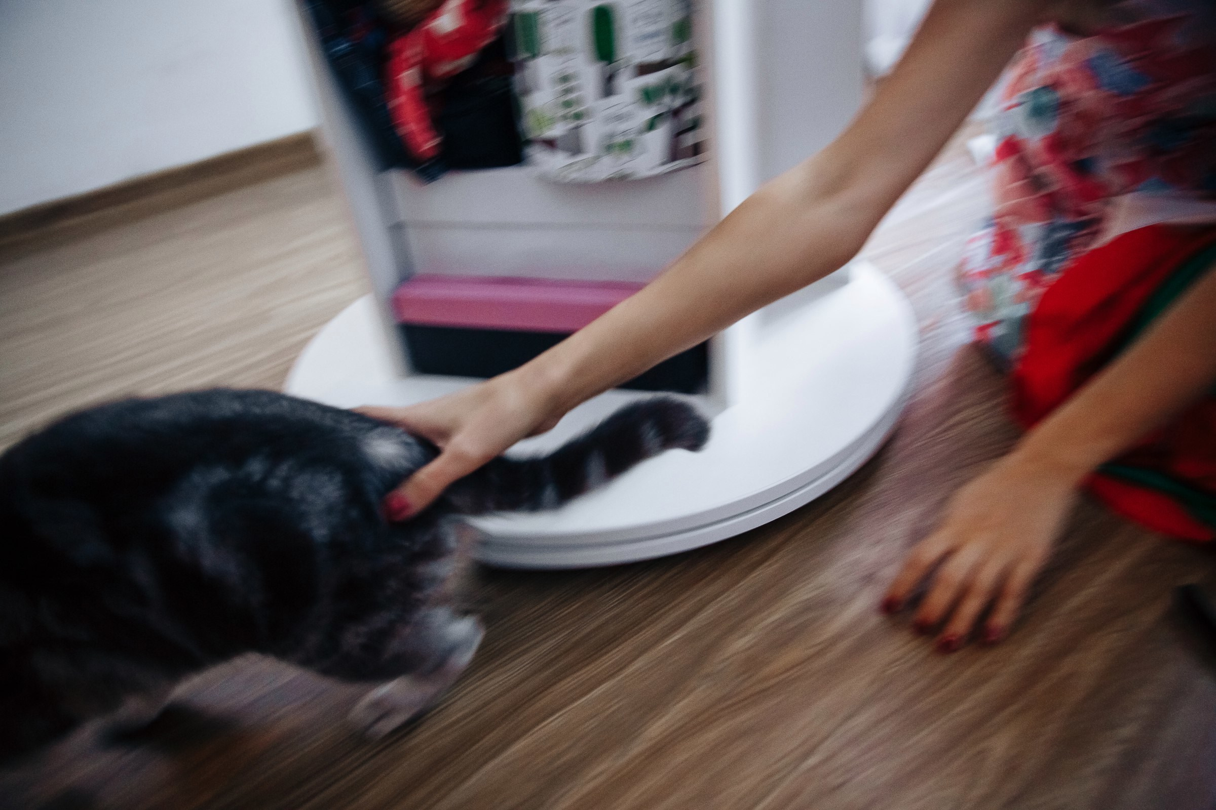 Свадьба в Сочи. Лучшая команда фотографов для Вас. Свадебный фотограф в Абхазии, Сухум, Гагра, Сочи