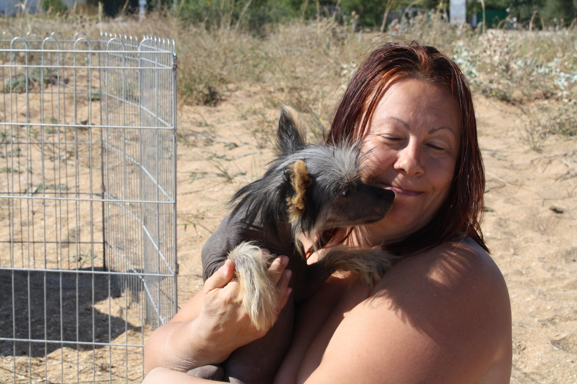 Dolzhanskaya Spit. Chinese Crested Dog Kennel Poale Ell