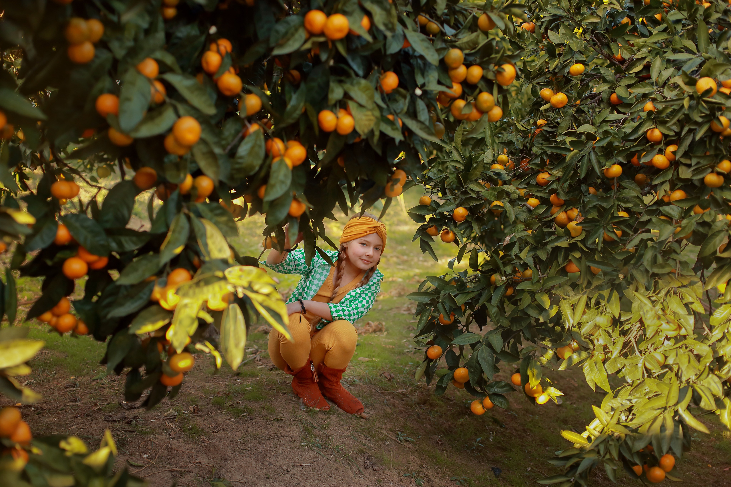 Абхазия. «Мандариновое настроение». Ольга Котова