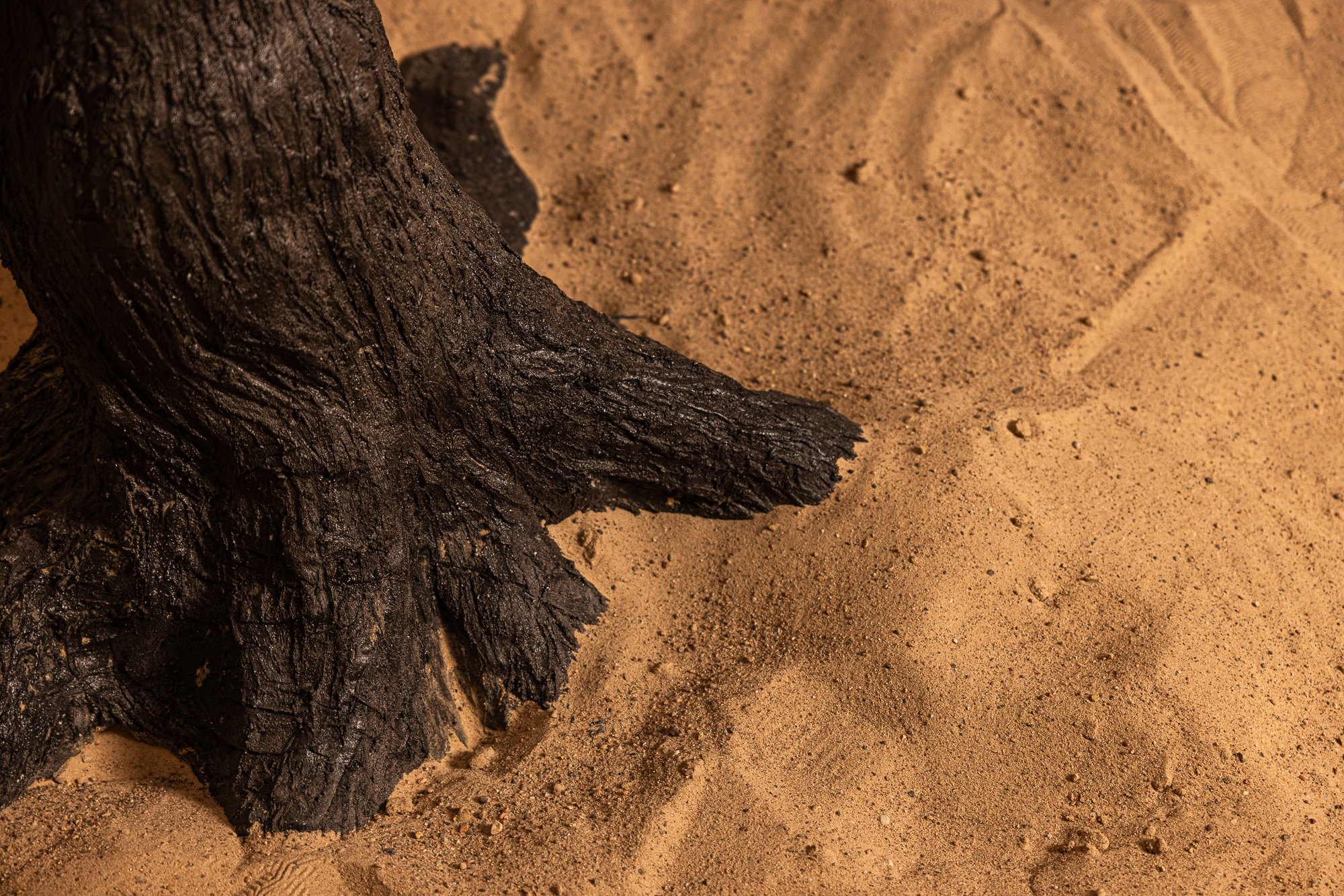 Photohub прочие залы. Фотограф в Минске Людмила Дутко