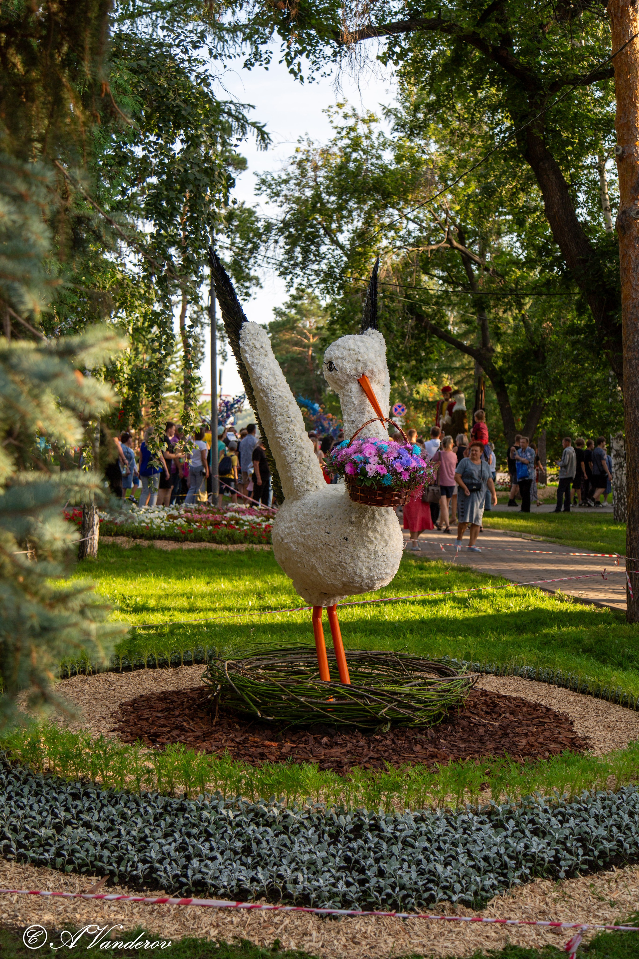 День города 03.08.2024. Фотограф Омск | Александр Вандеров