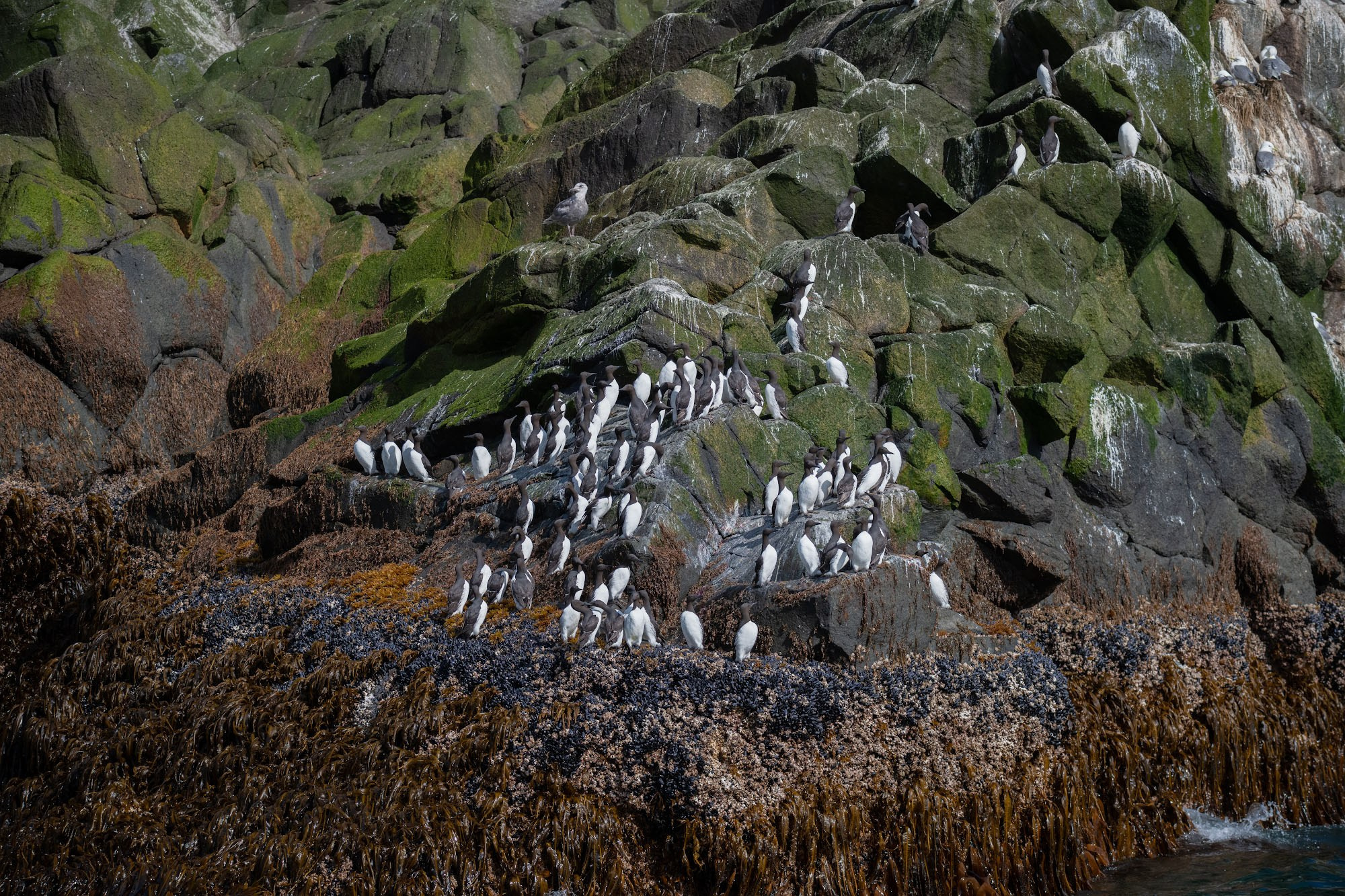 Фотоэкспедиция по Шантарам, к острову Ионы и полуострову Кони