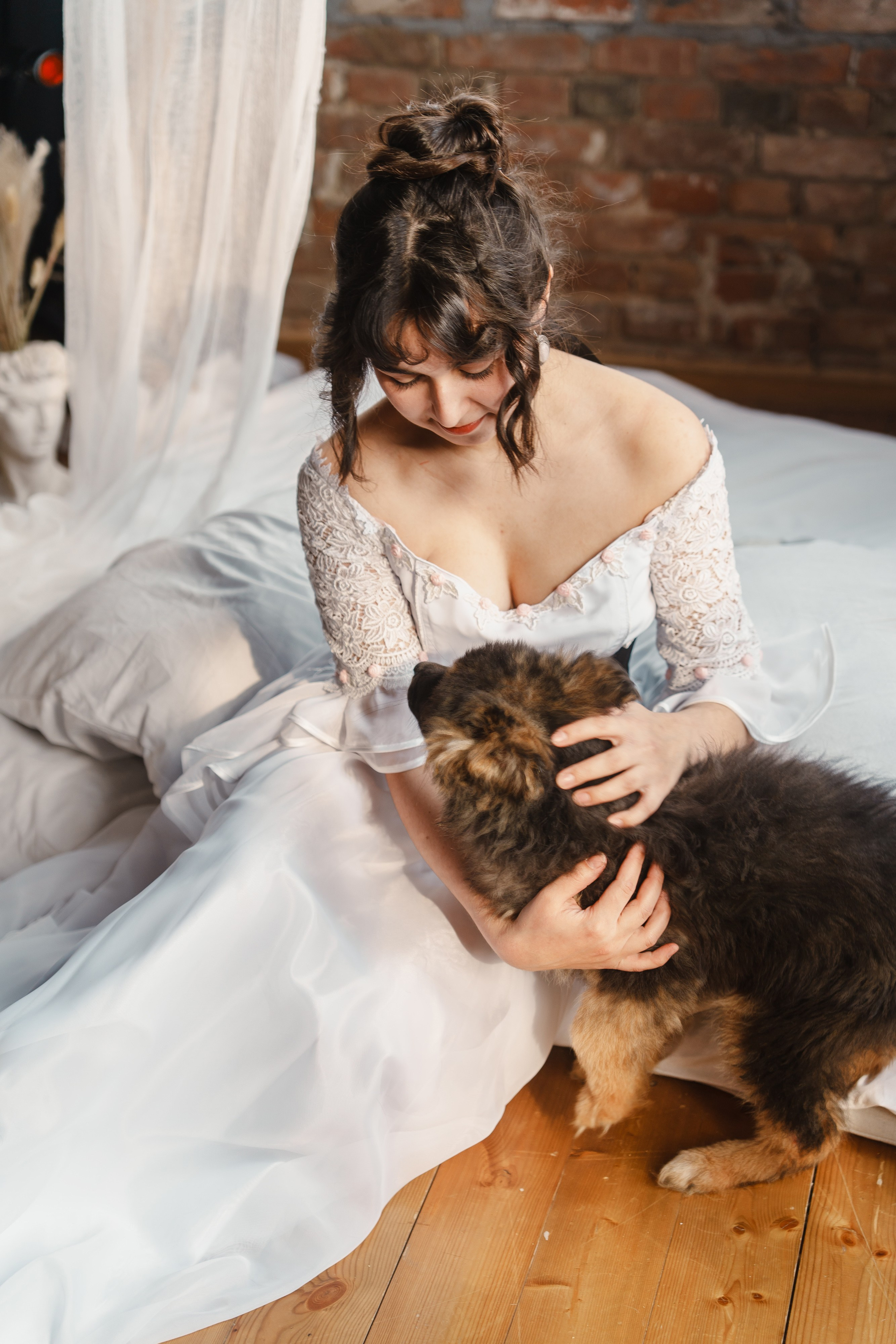 Танцоры и питомцы. ИТВИ