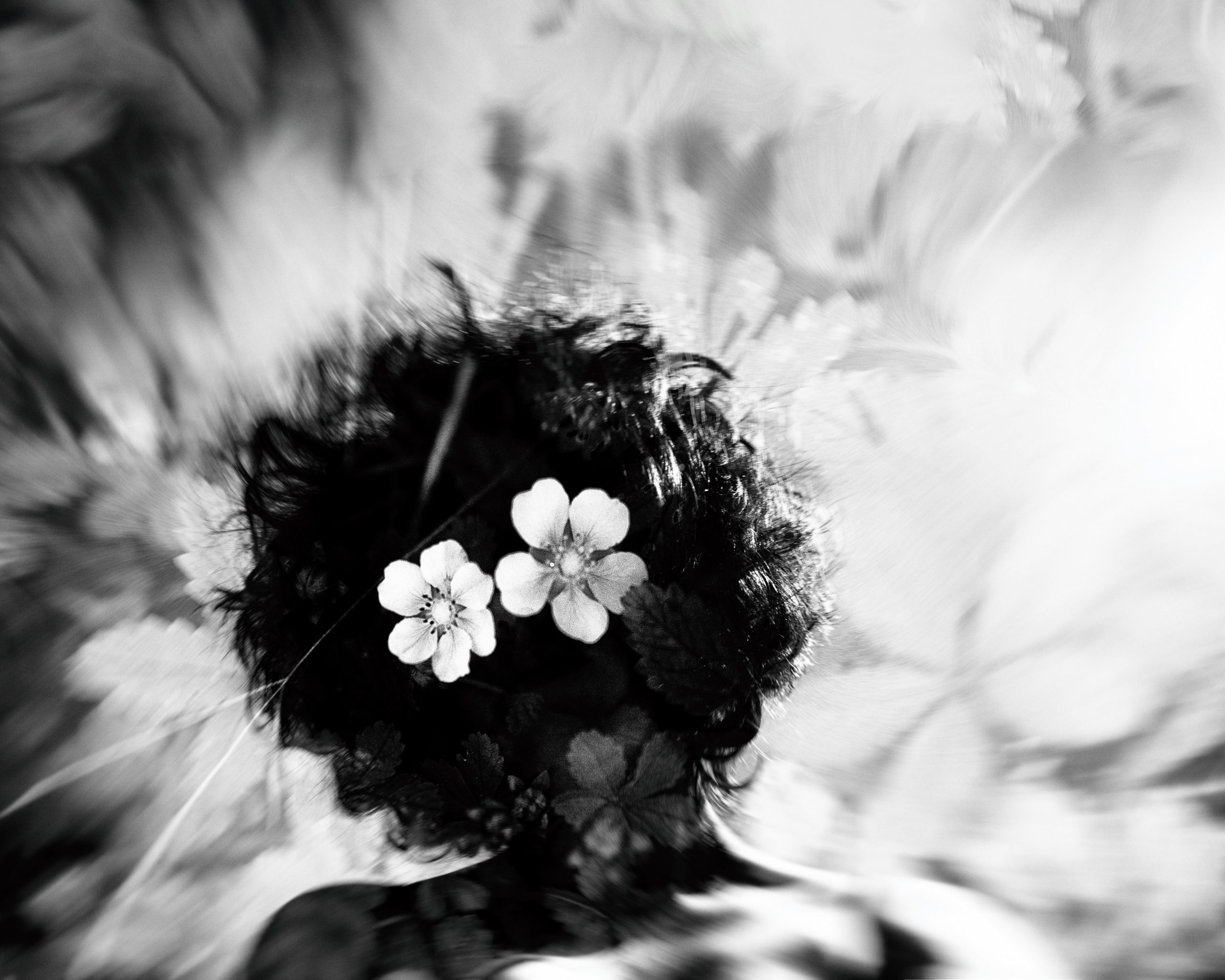 Принты. Фотограф Вера Фролова