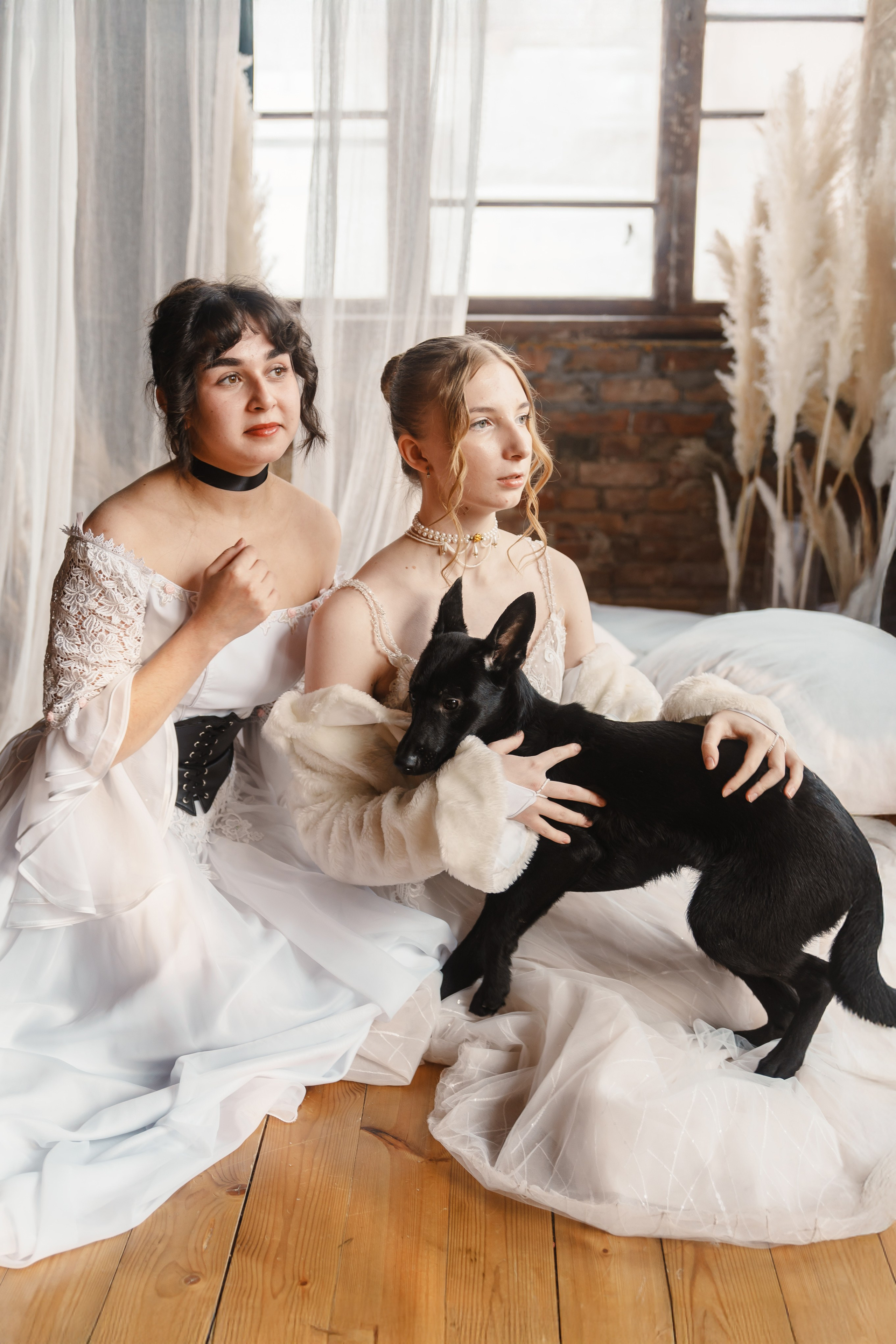 Танцоры и питомцы. ИТВИ