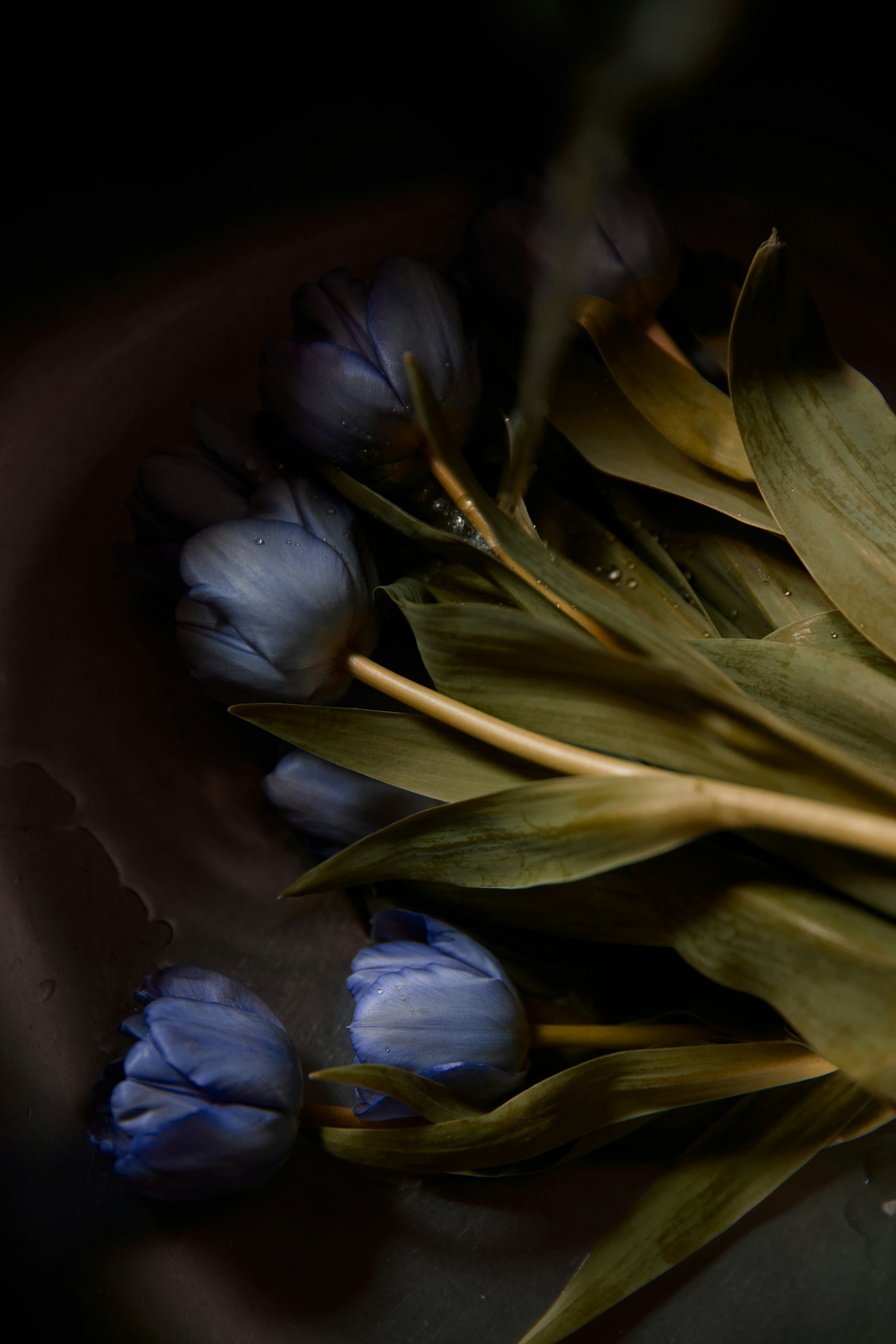 Цветочный магазин Ботаника78