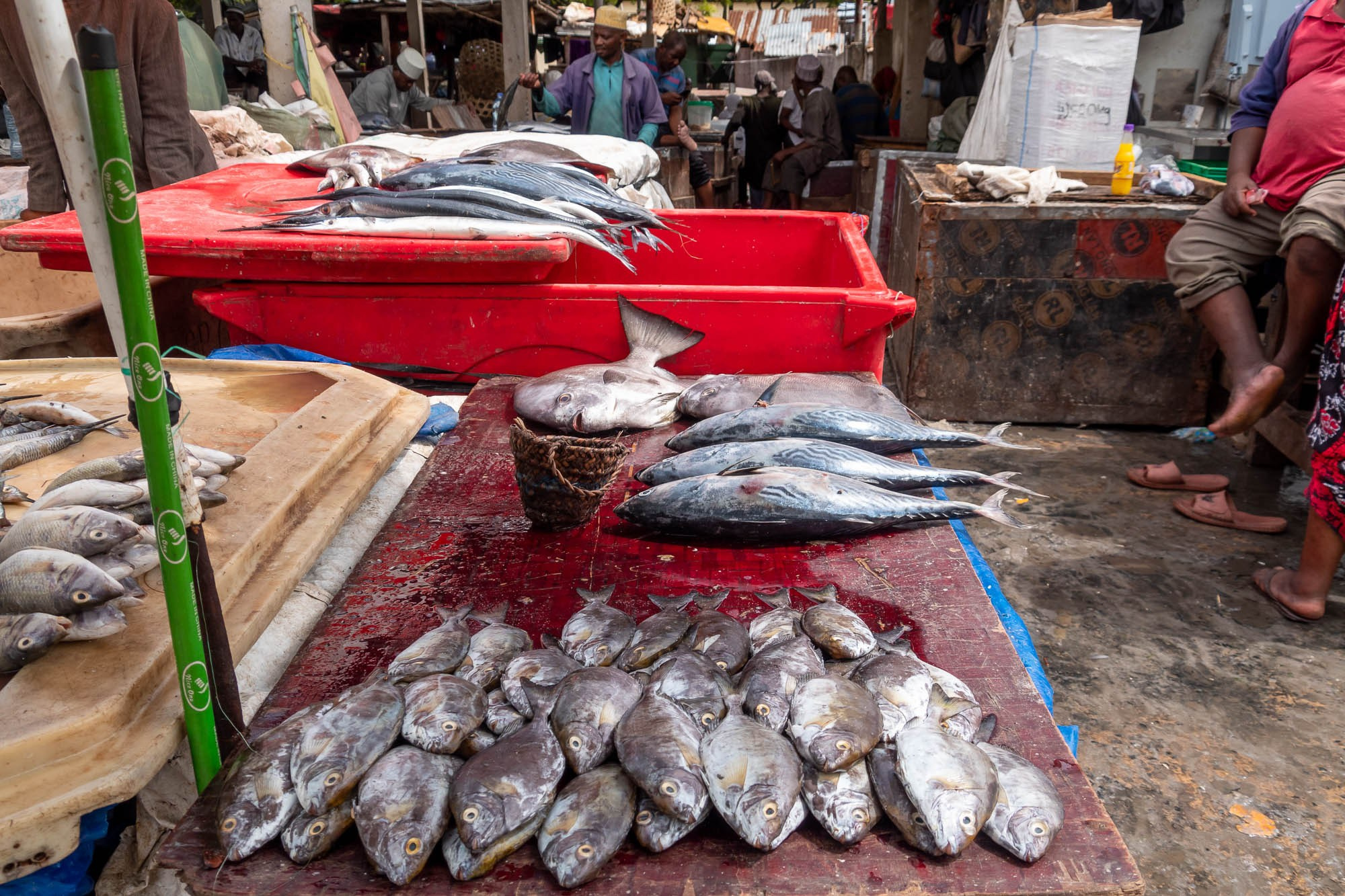 Танзания, Дар эс Салам. Tanzania, Dar es Salaam. Фотограф Алексей Скоробогатько