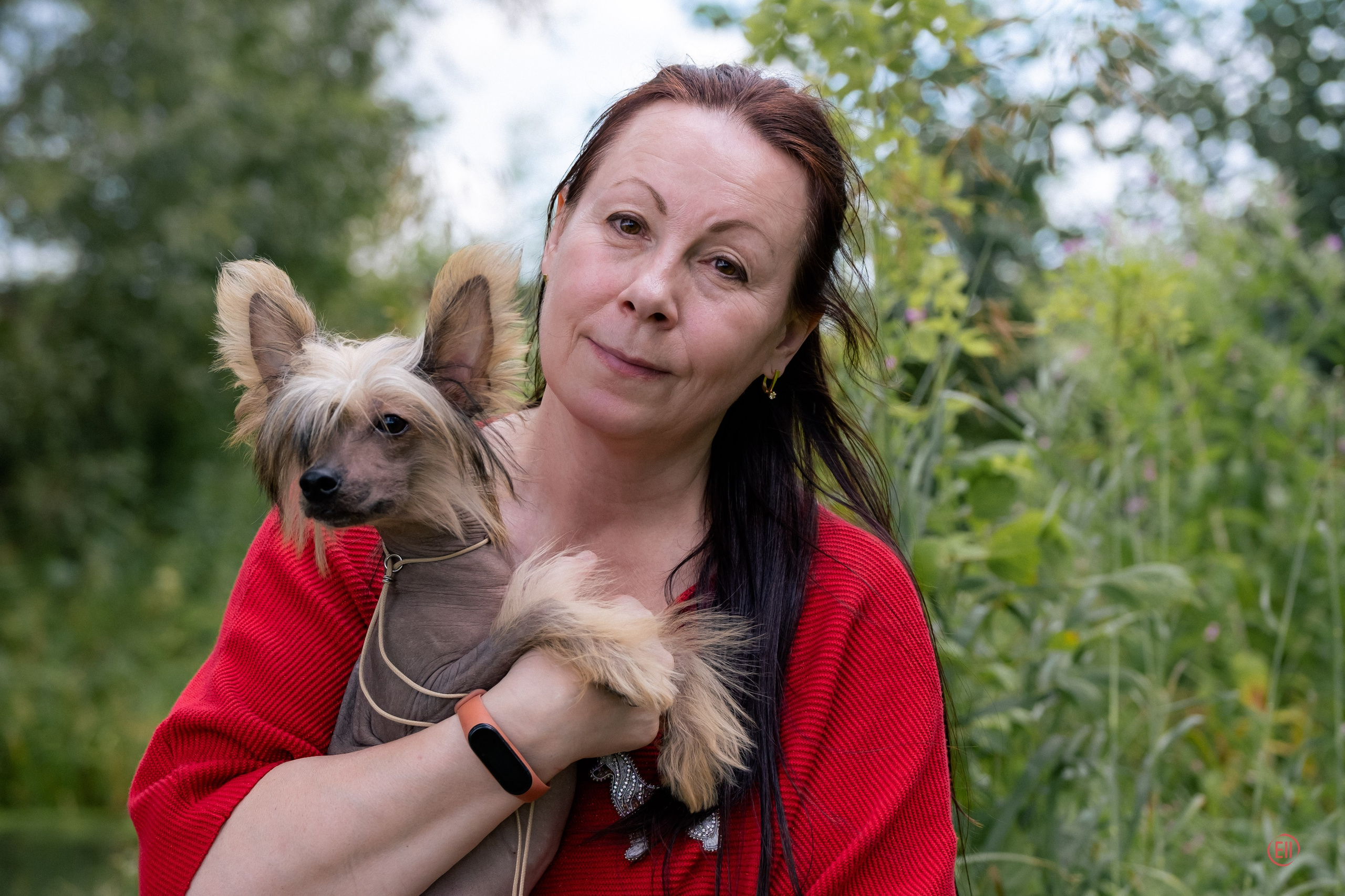 Липецк. Выставка собак. Питомник китайских хохлатых собак Poale Ell: купить щенка